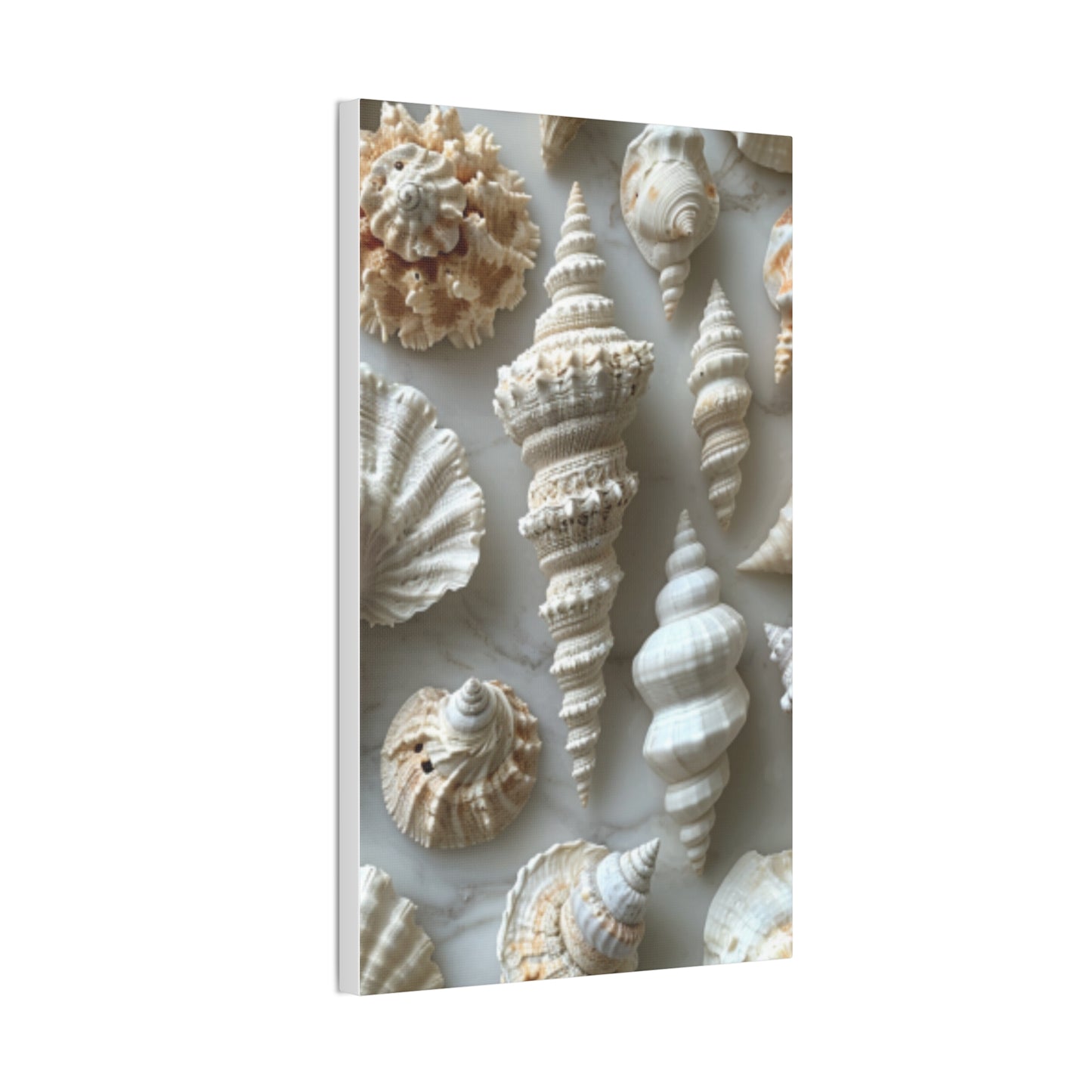 Seashell Serenity Canvas Print