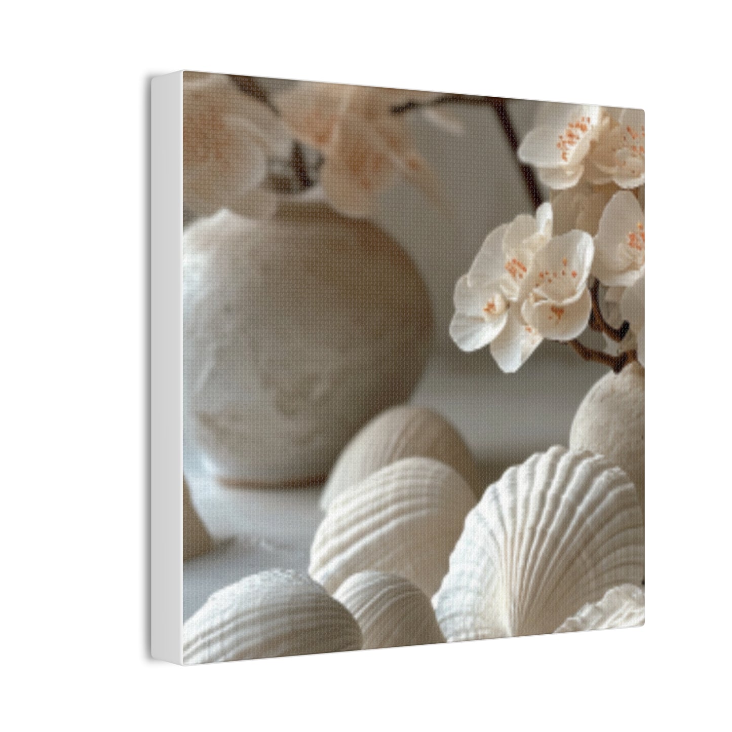 Seashell Serenity Canvas Print