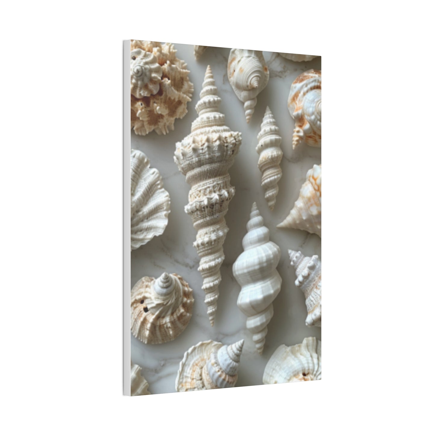 Seashell Serenity Canvas Print