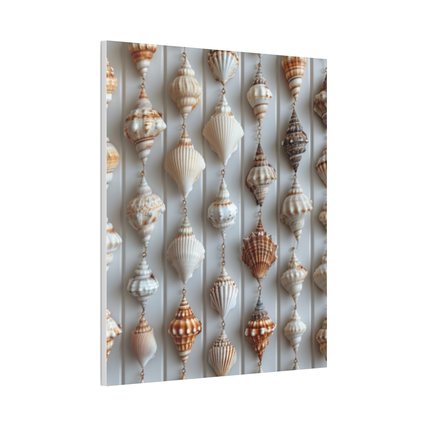 Seashell Serenity Canvas Print