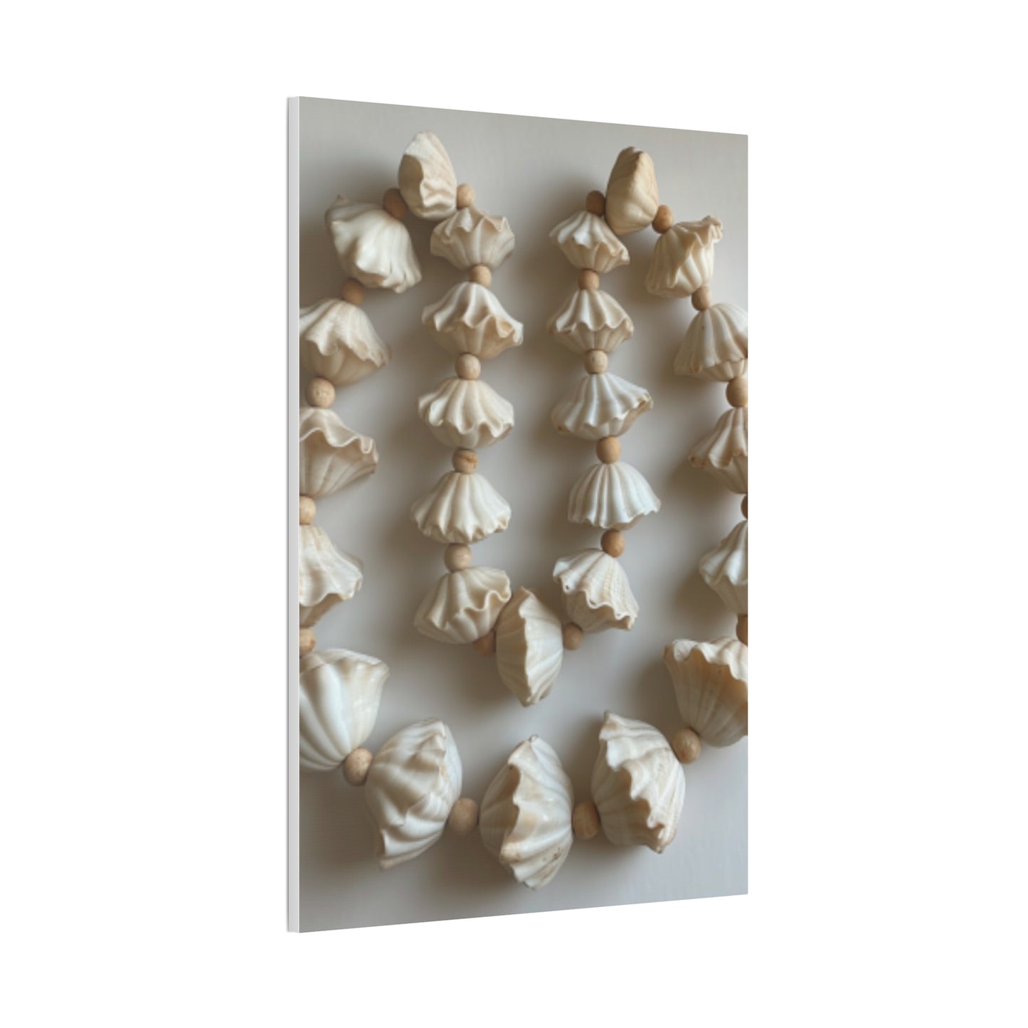 Seashell Serenity Canvas Print