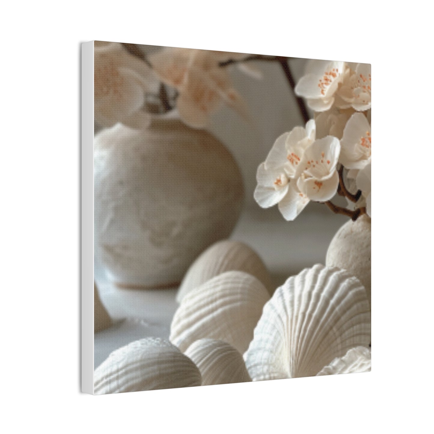 Seashell Serenity Canvas Print