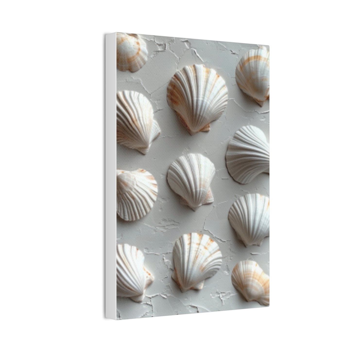 Seashell Serenity Canvas Print