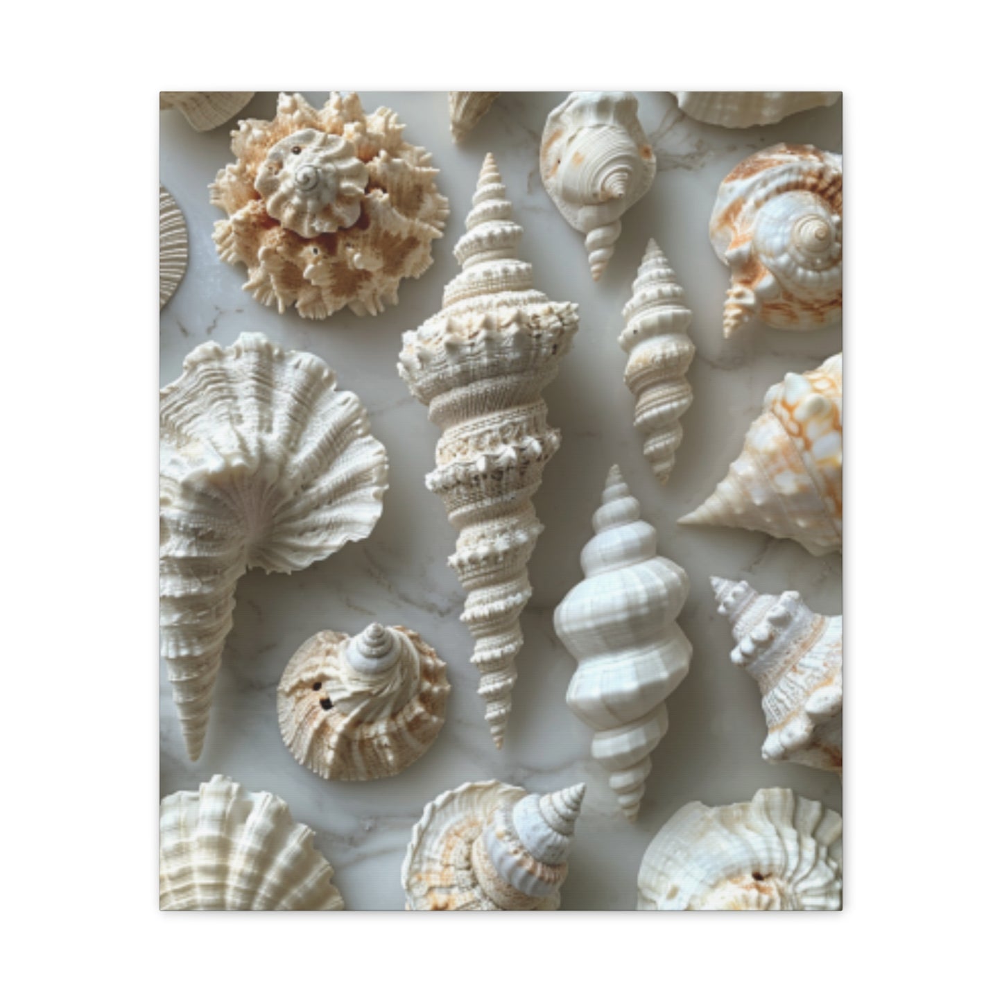 Seashell Serenity Canvas Print