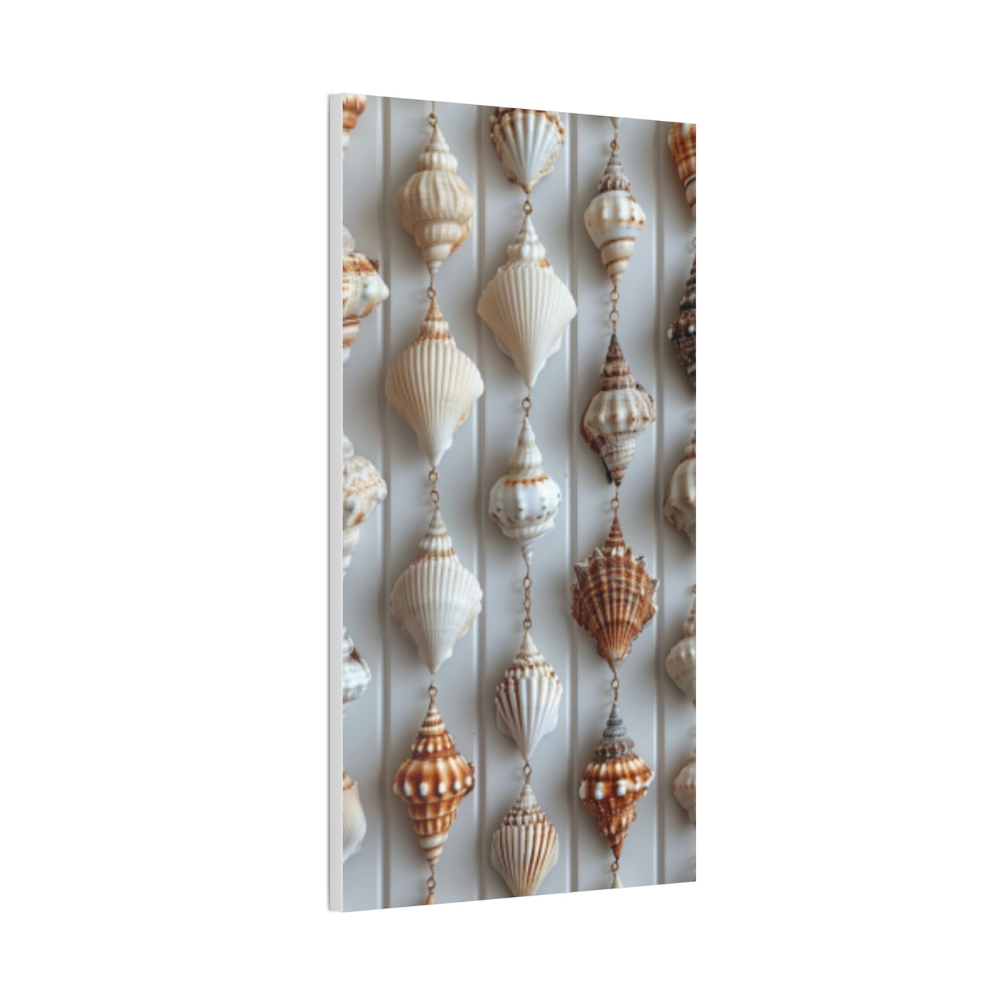 Seashell Serenity Canvas Print