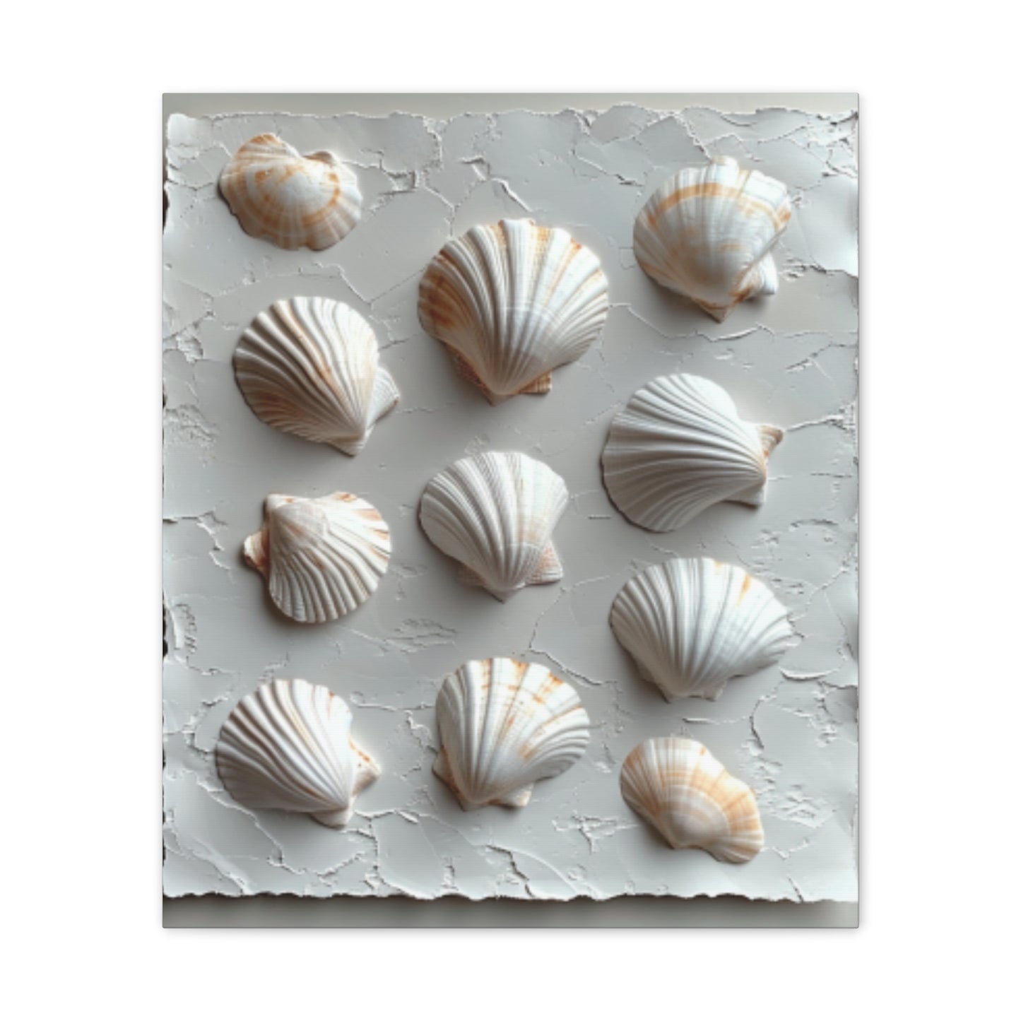 Seashell Serenity Canvas Print