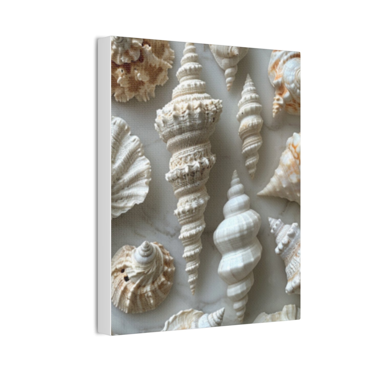 Seashell Serenity Canvas Print