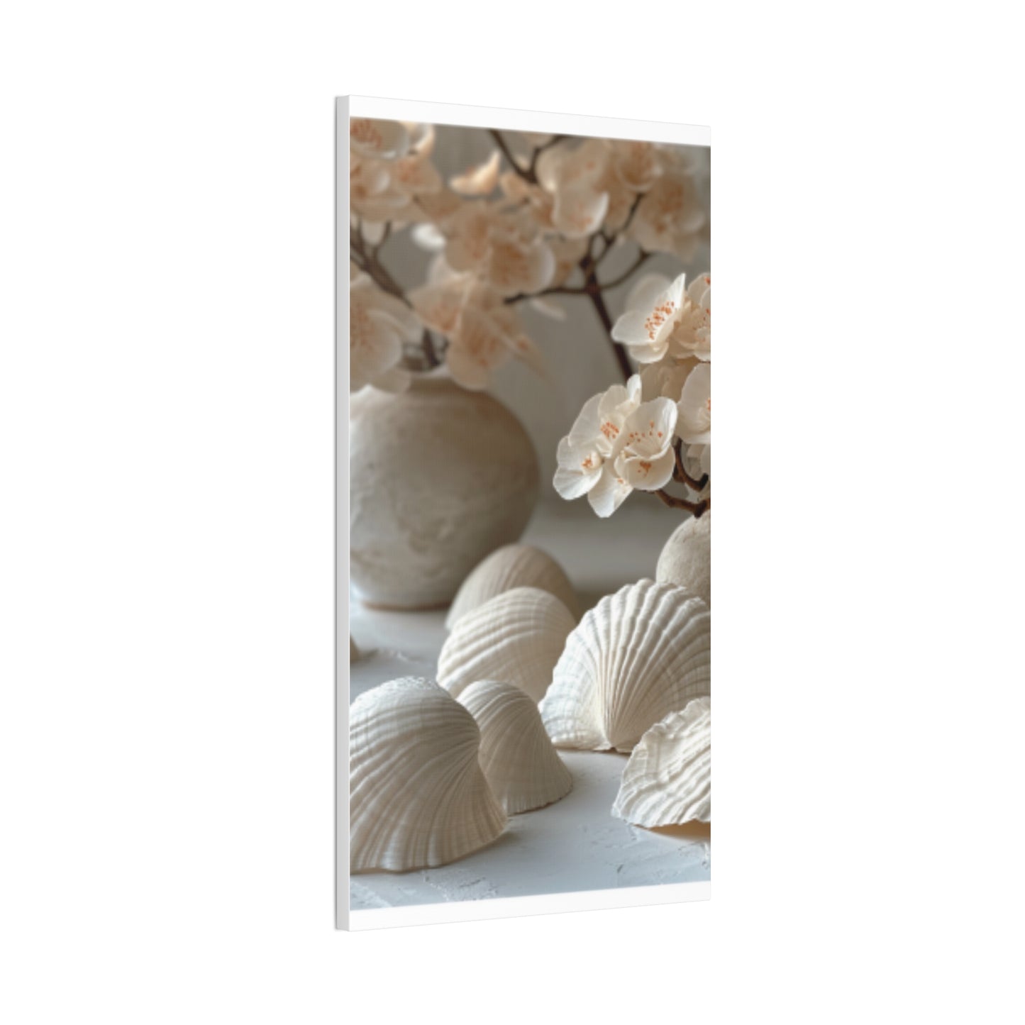 Seashell Serenity Canvas Print