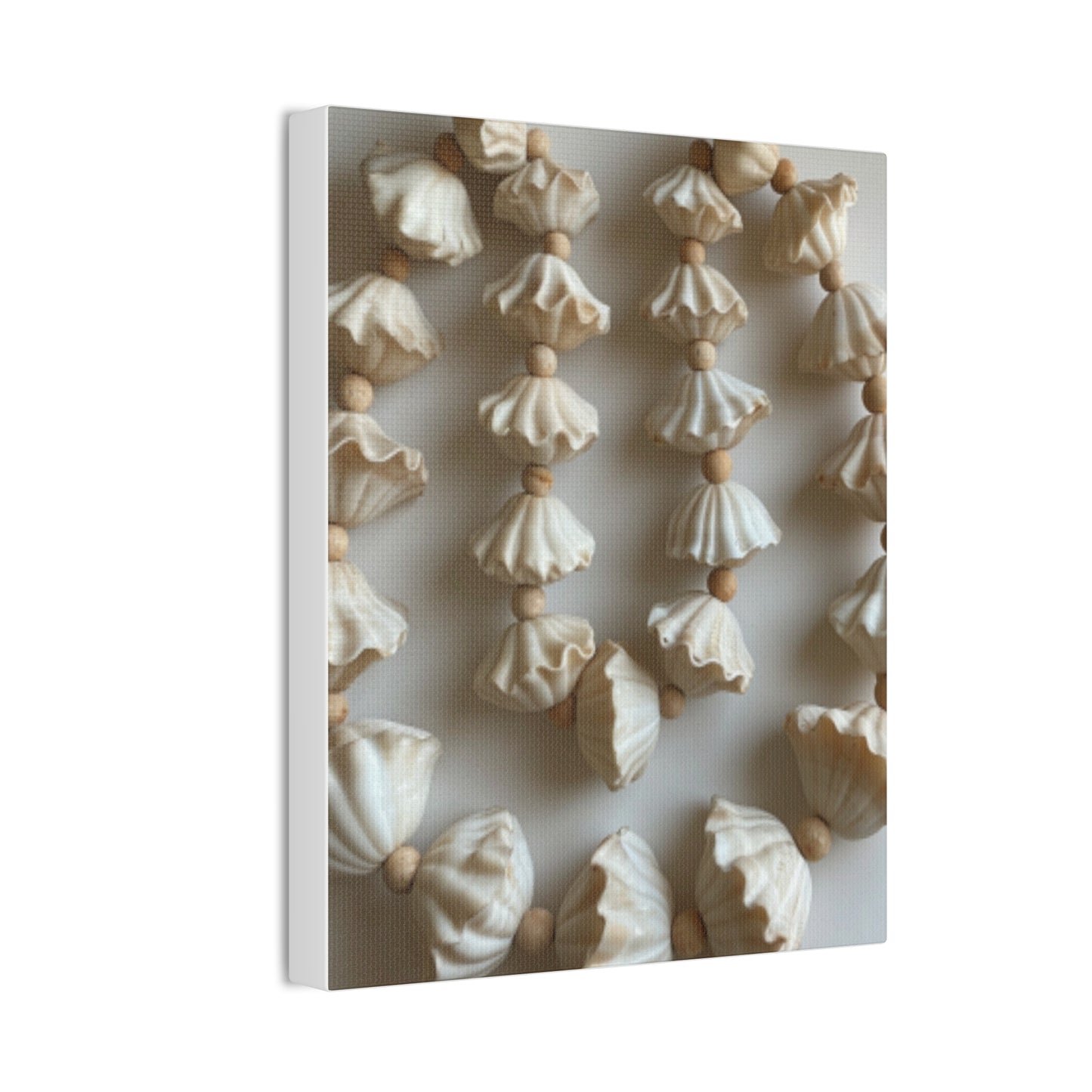 Seashell Serenity Canvas Print