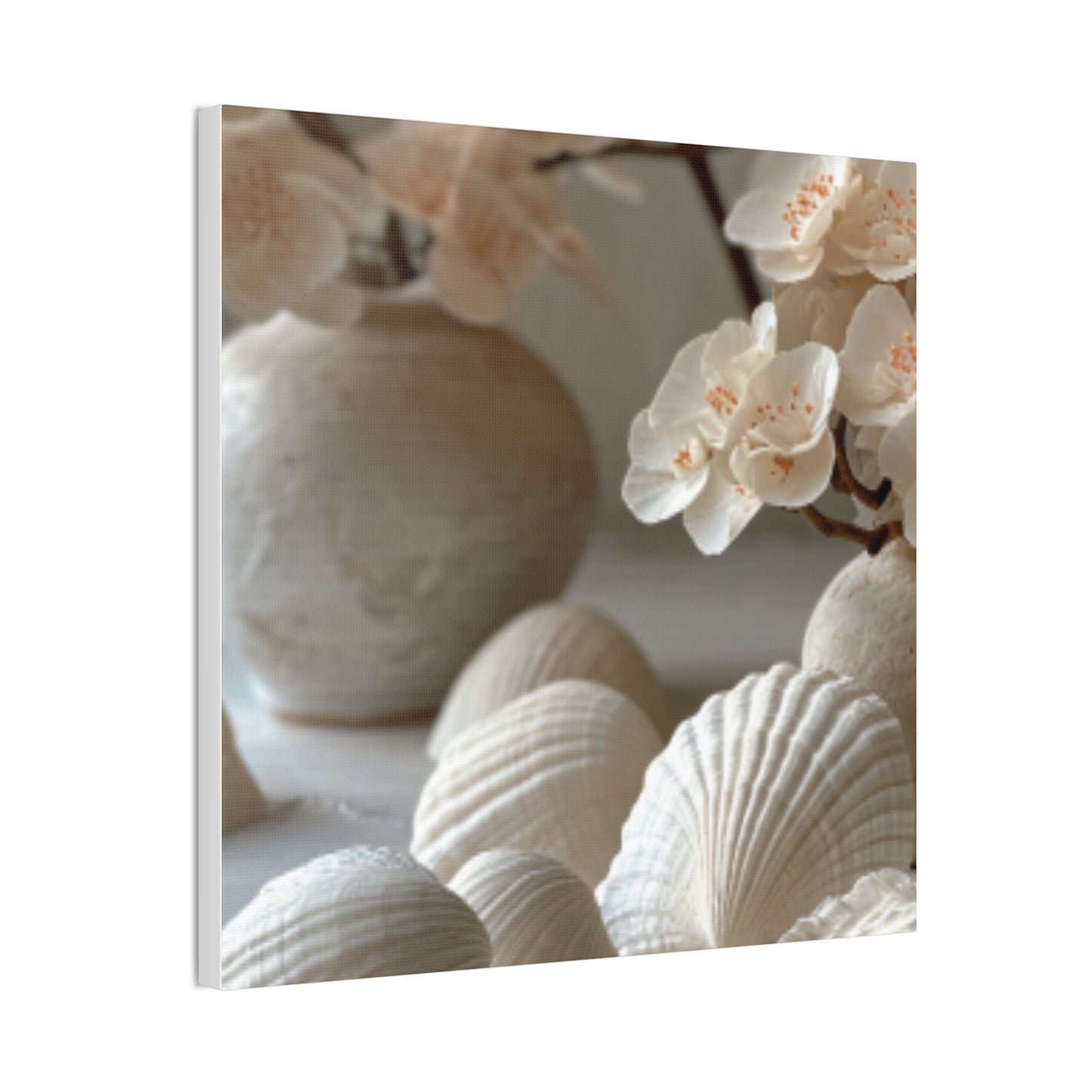 Seashell Serenity Canvas Print