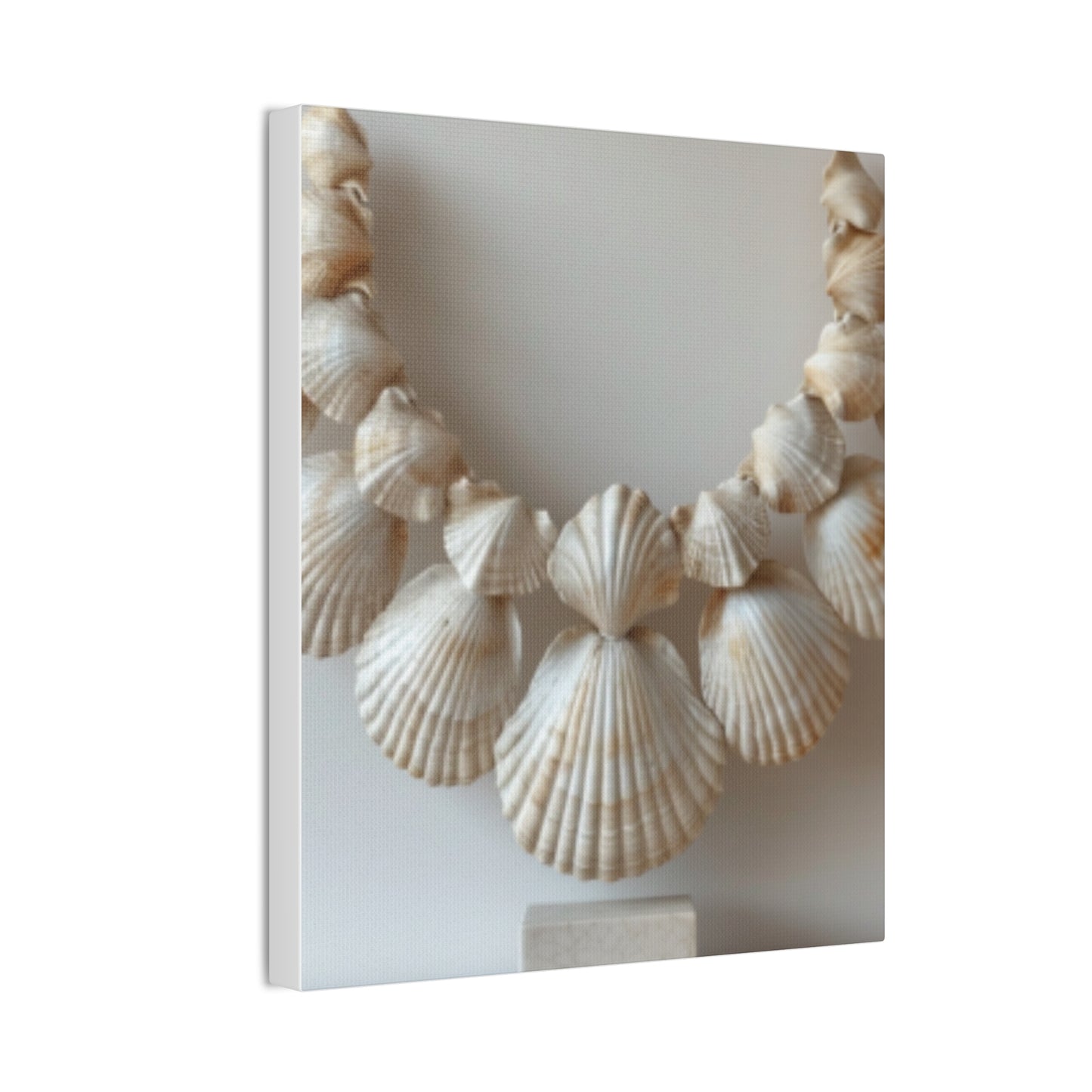 Seashell Serenity Canvas Print