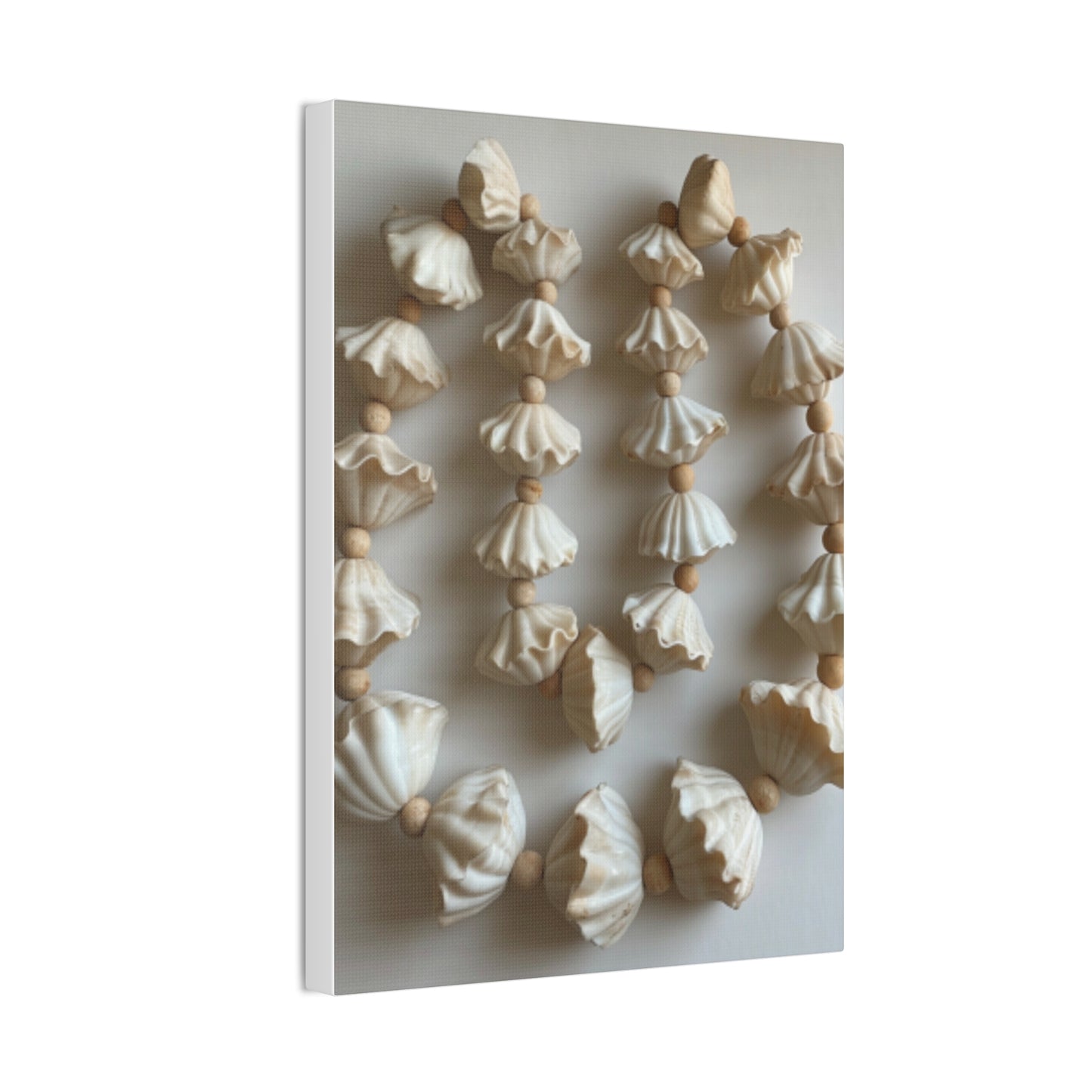 Seashell Serenity Canvas Print