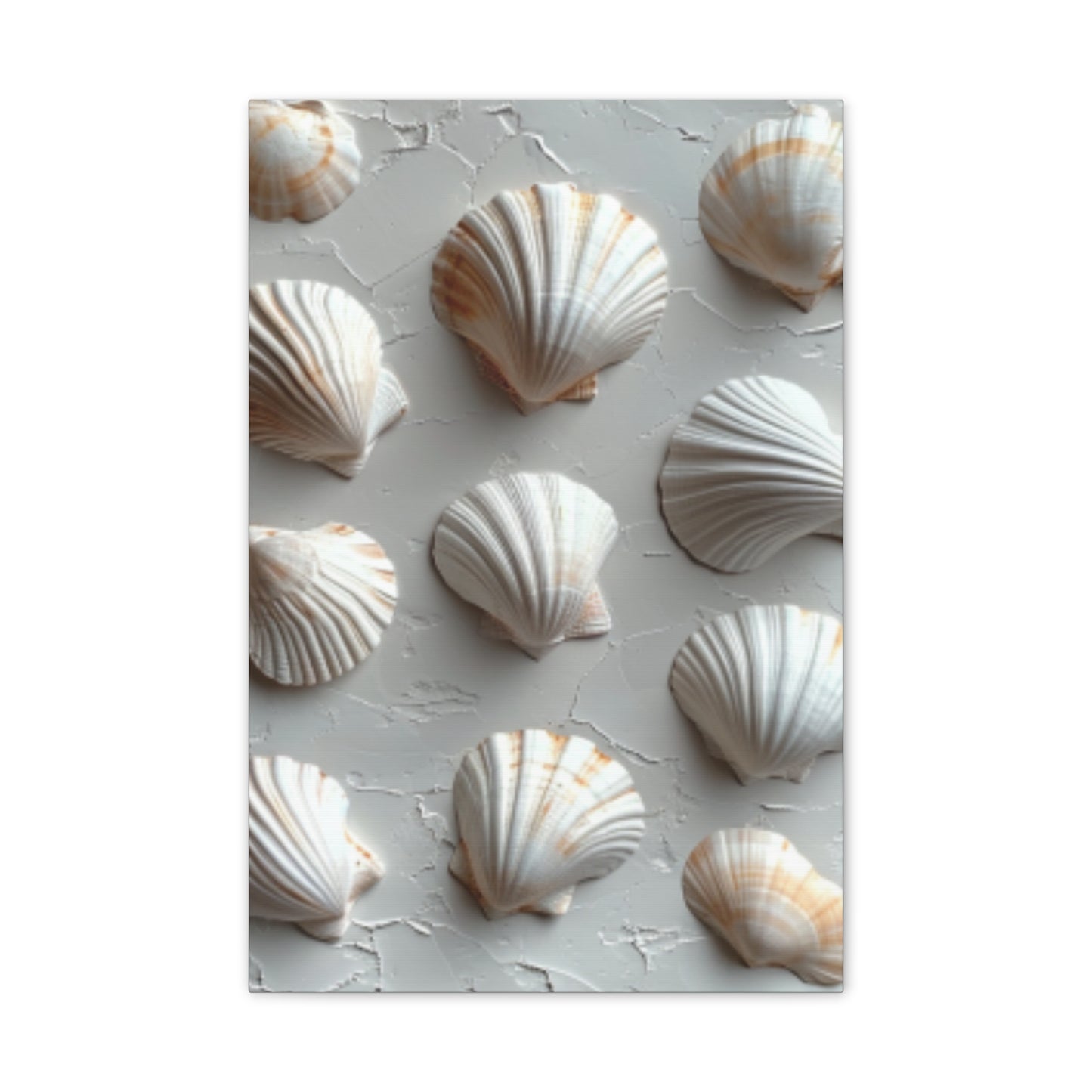 Seashell Serenity Canvas Print