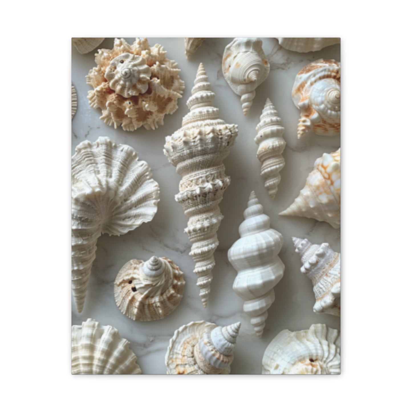 Seashell Serenity Canvas Print