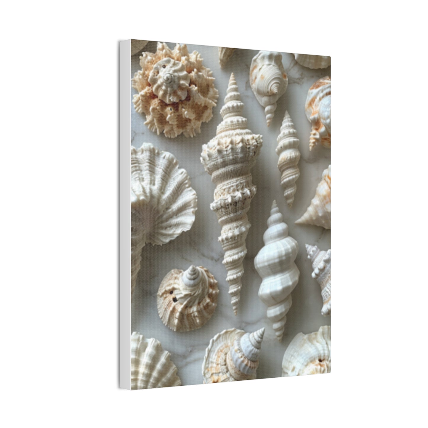 Seashell Serenity Canvas Print