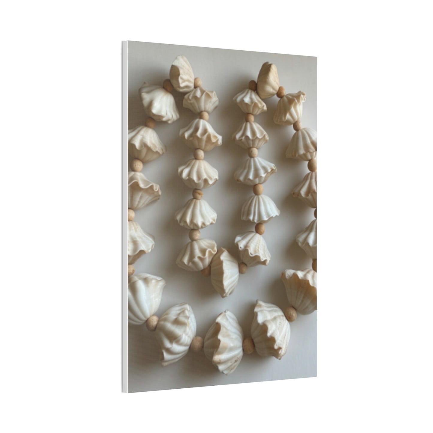 Seashell Serenity Canvas Print