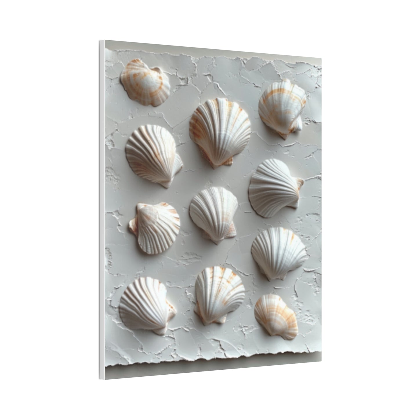 Seashell Serenity Canvas Print