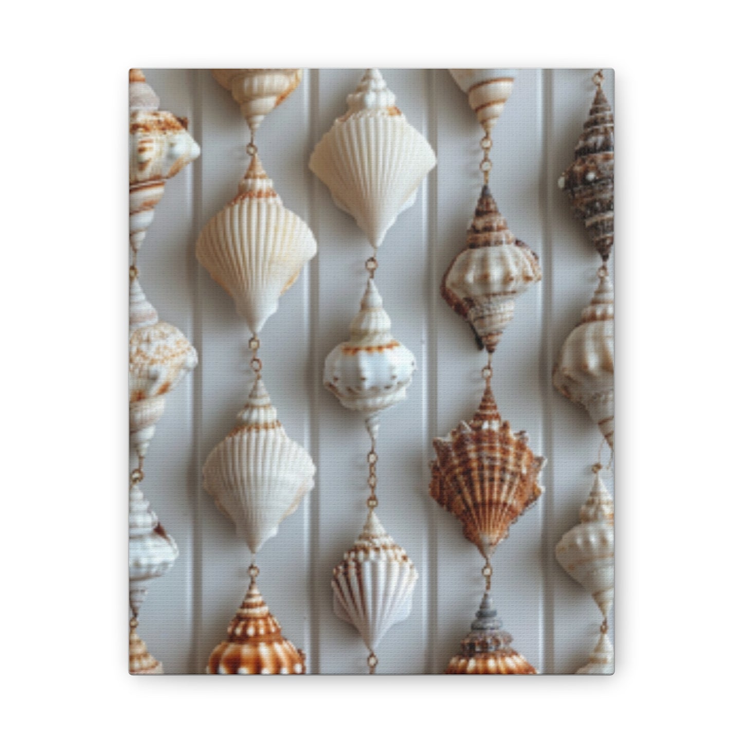 Seashell Serenity Canvas Print