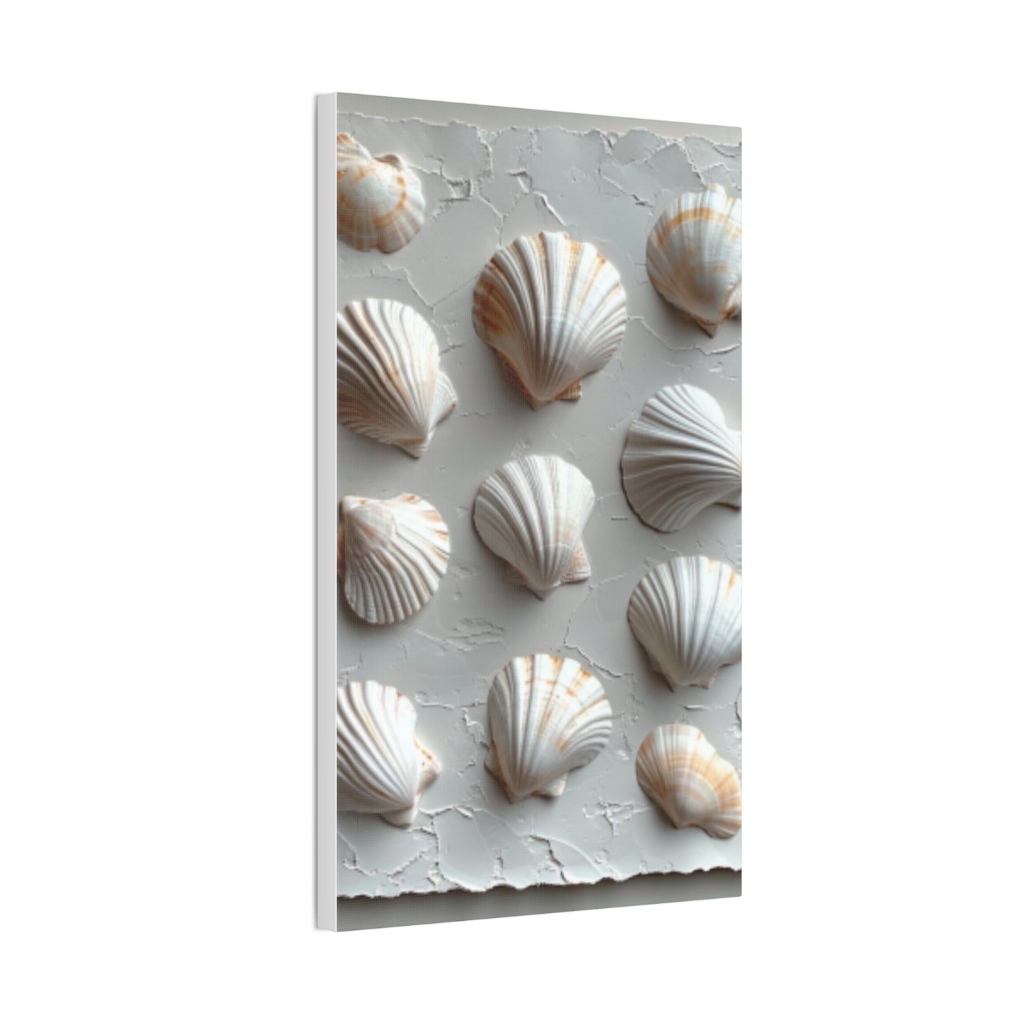 Seashell Serenity Canvas Print