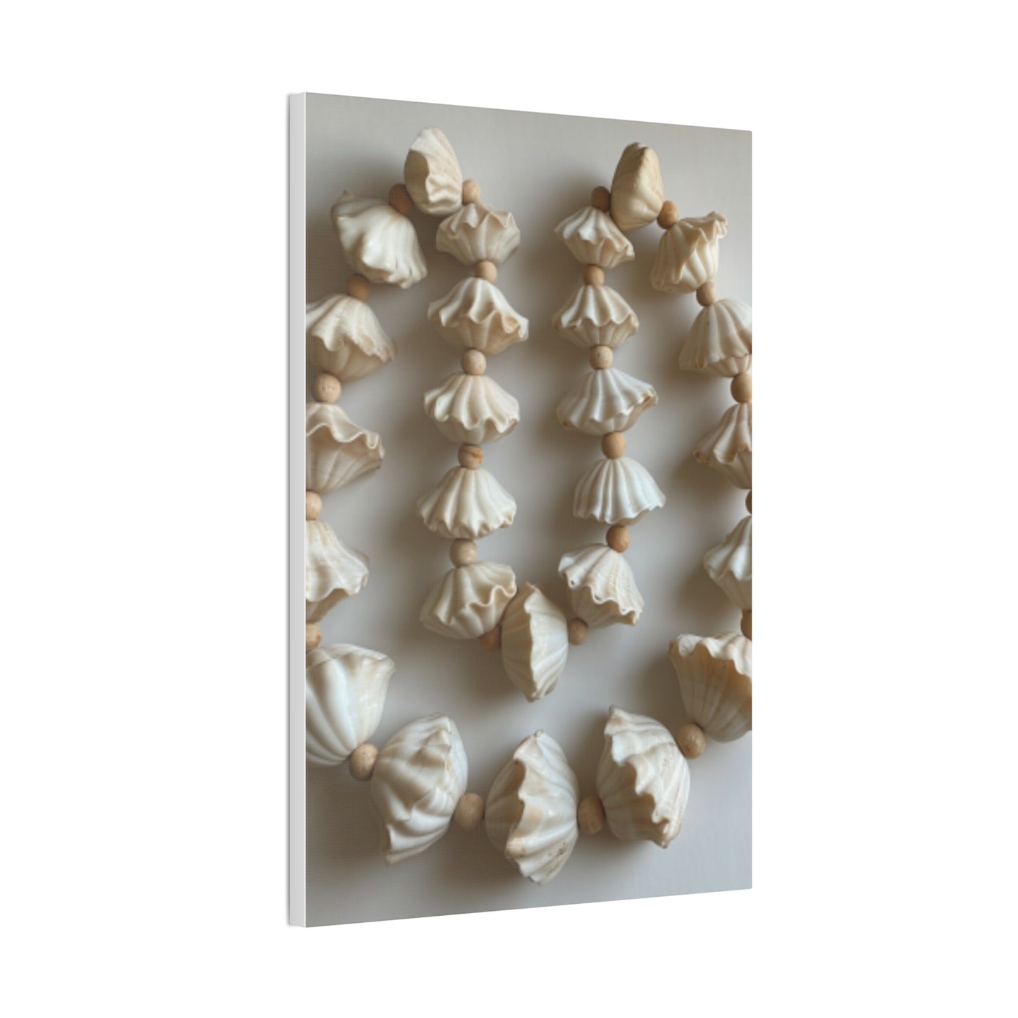 Seashell Serenity Canvas Print