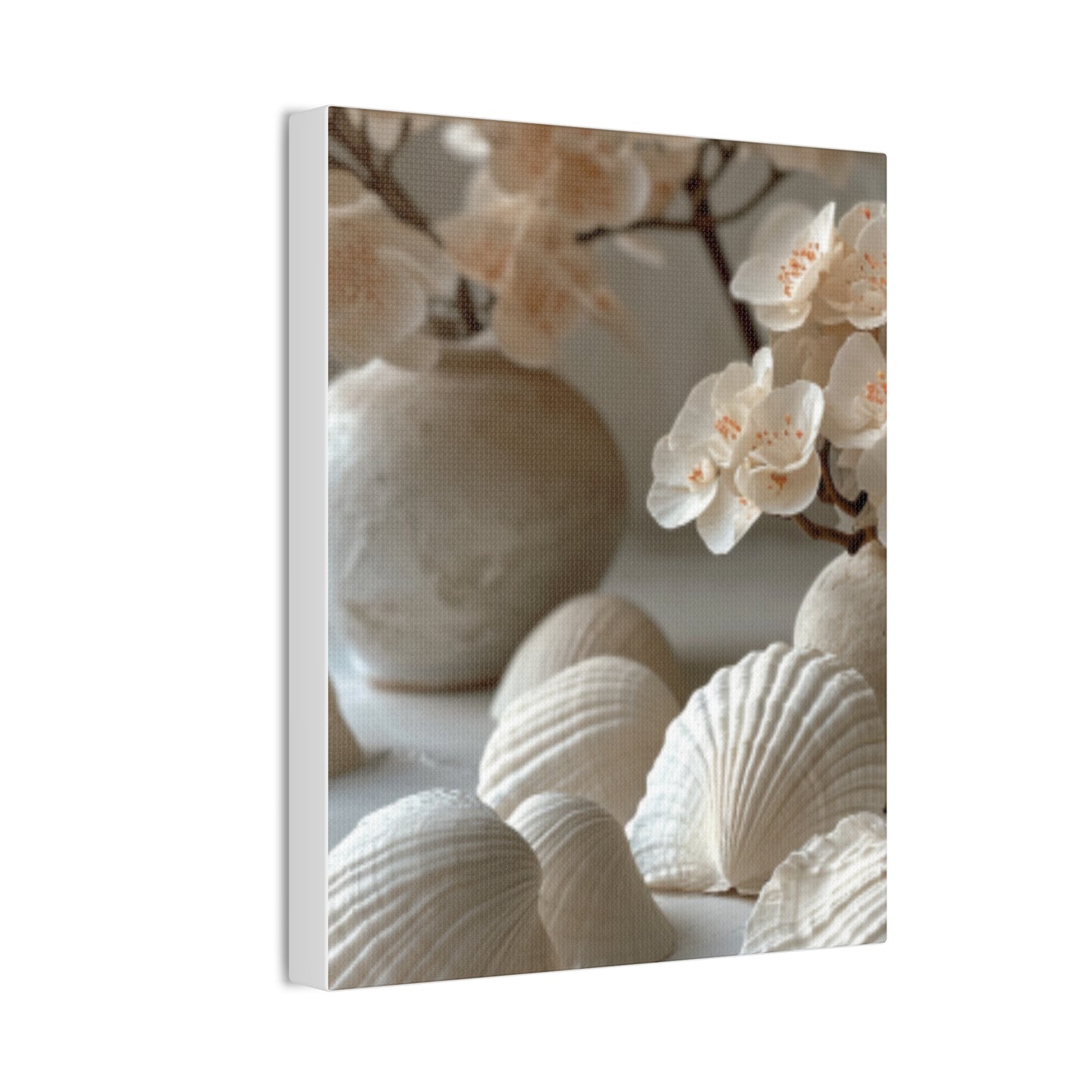 Seashell Serenity Canvas Print