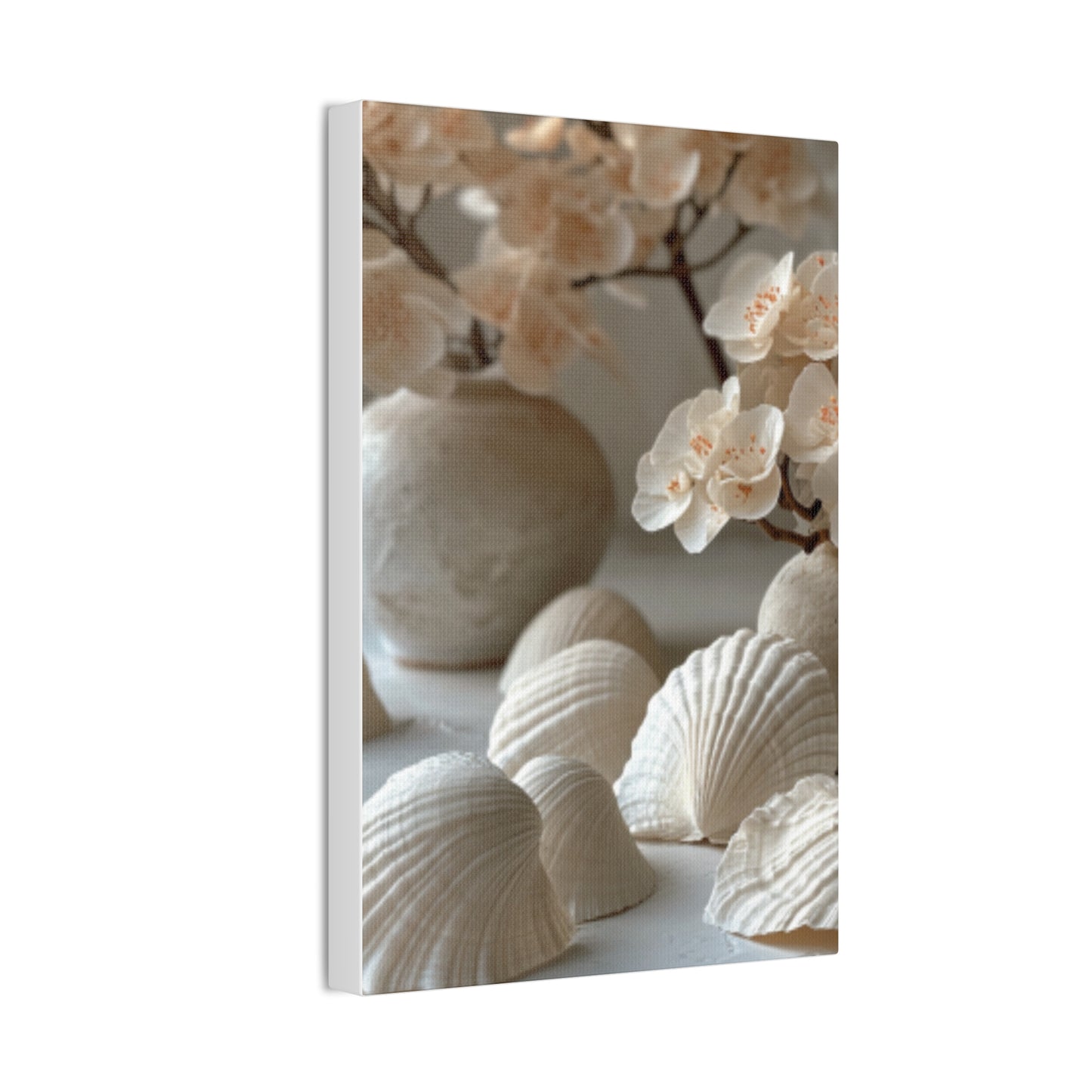 Seashell Serenity Canvas Print