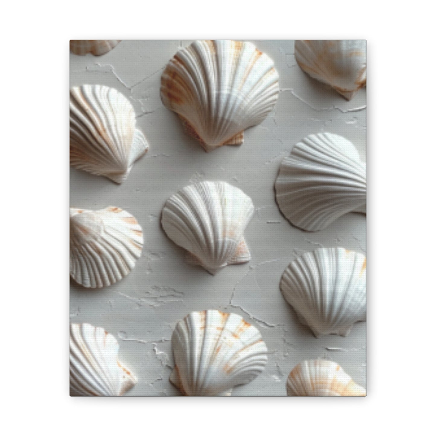 Seashell Serenity Canvas Print