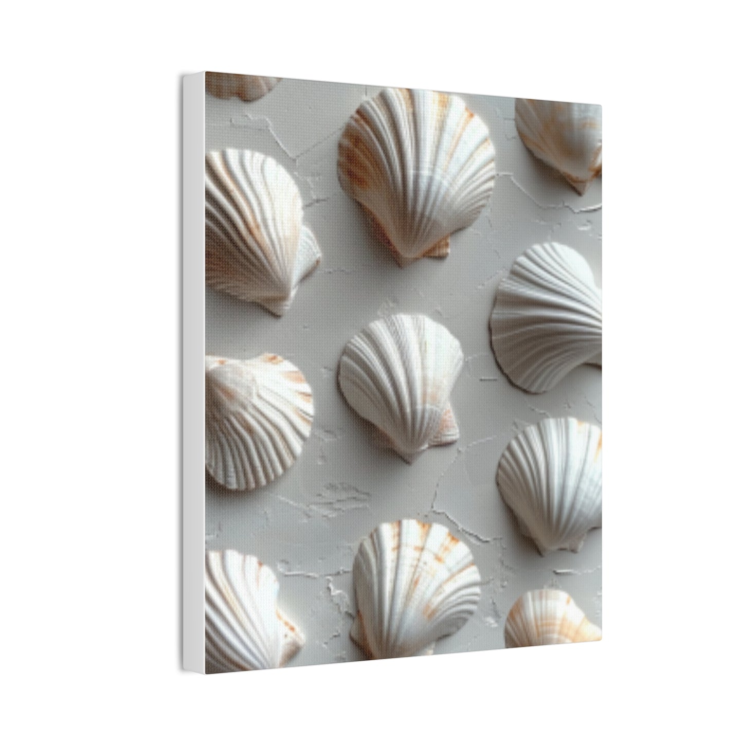 Seashell Serenity Canvas Print