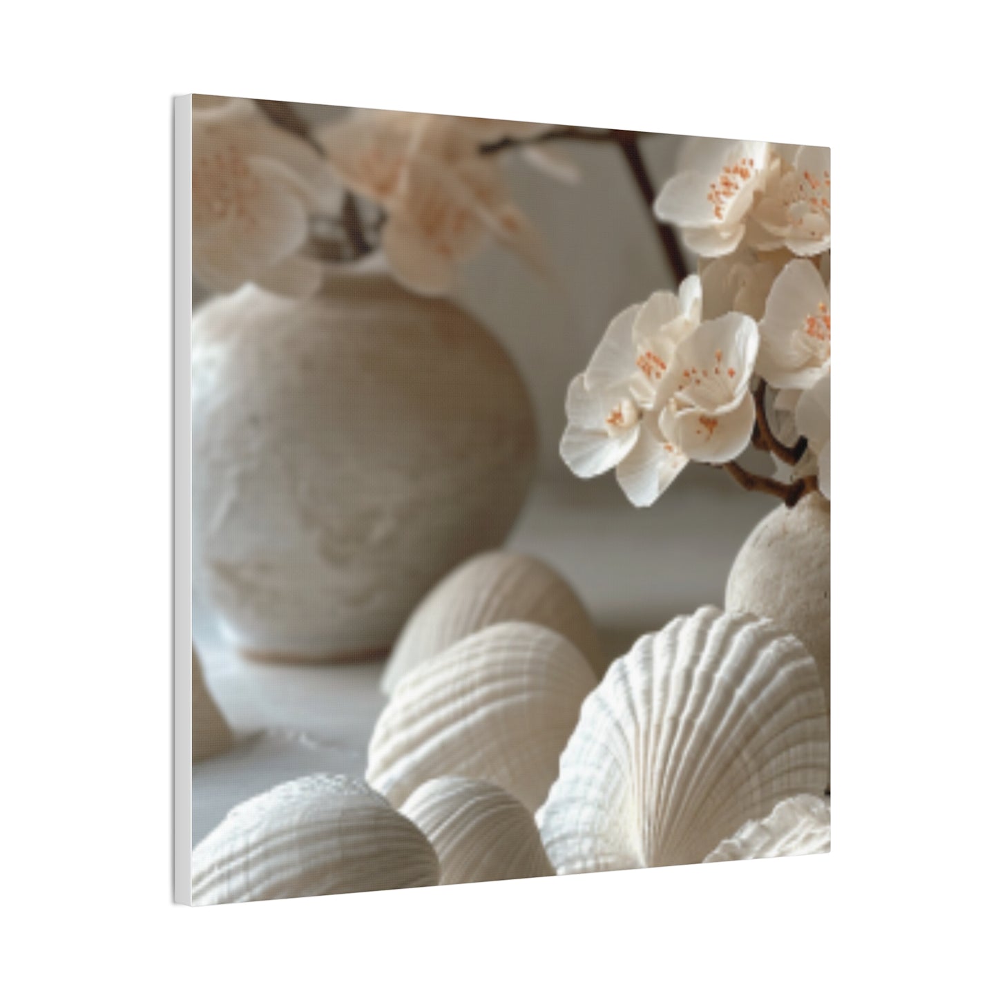 Seashell Serenity Canvas Print