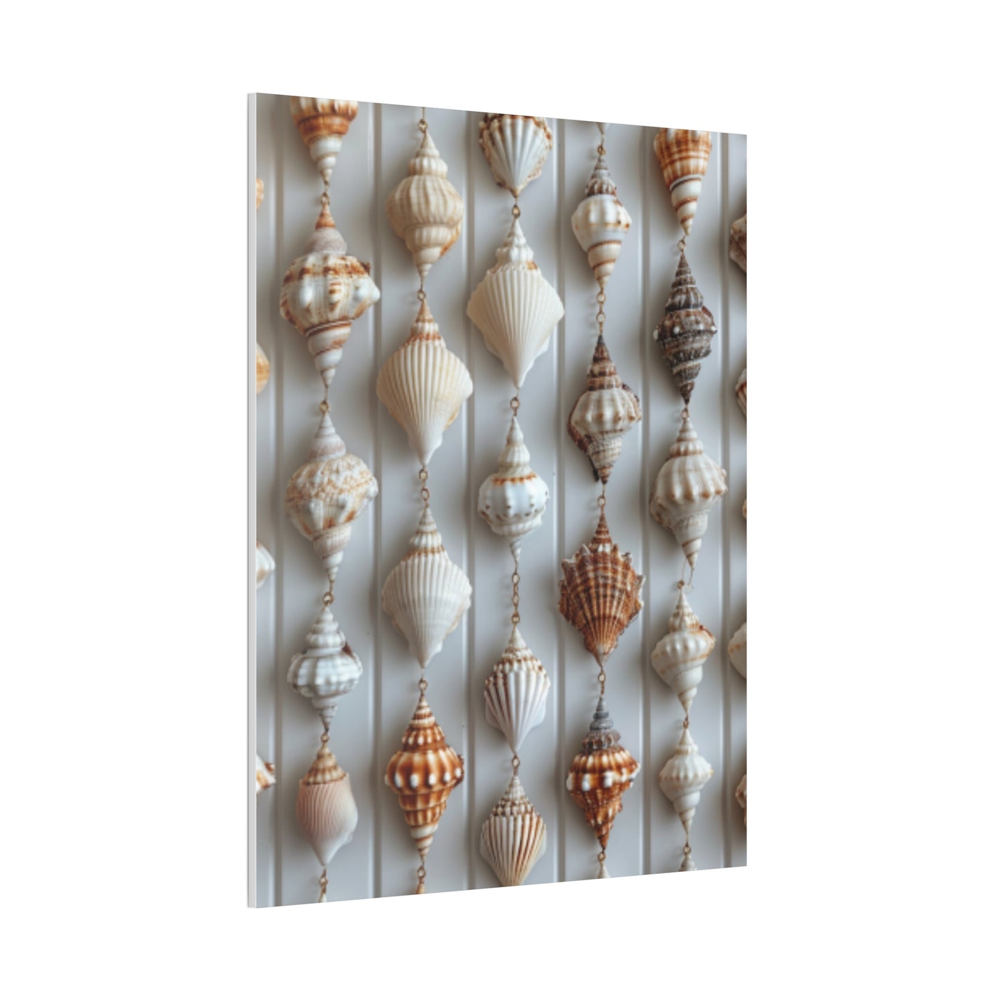 Seashell Serenity Canvas Print