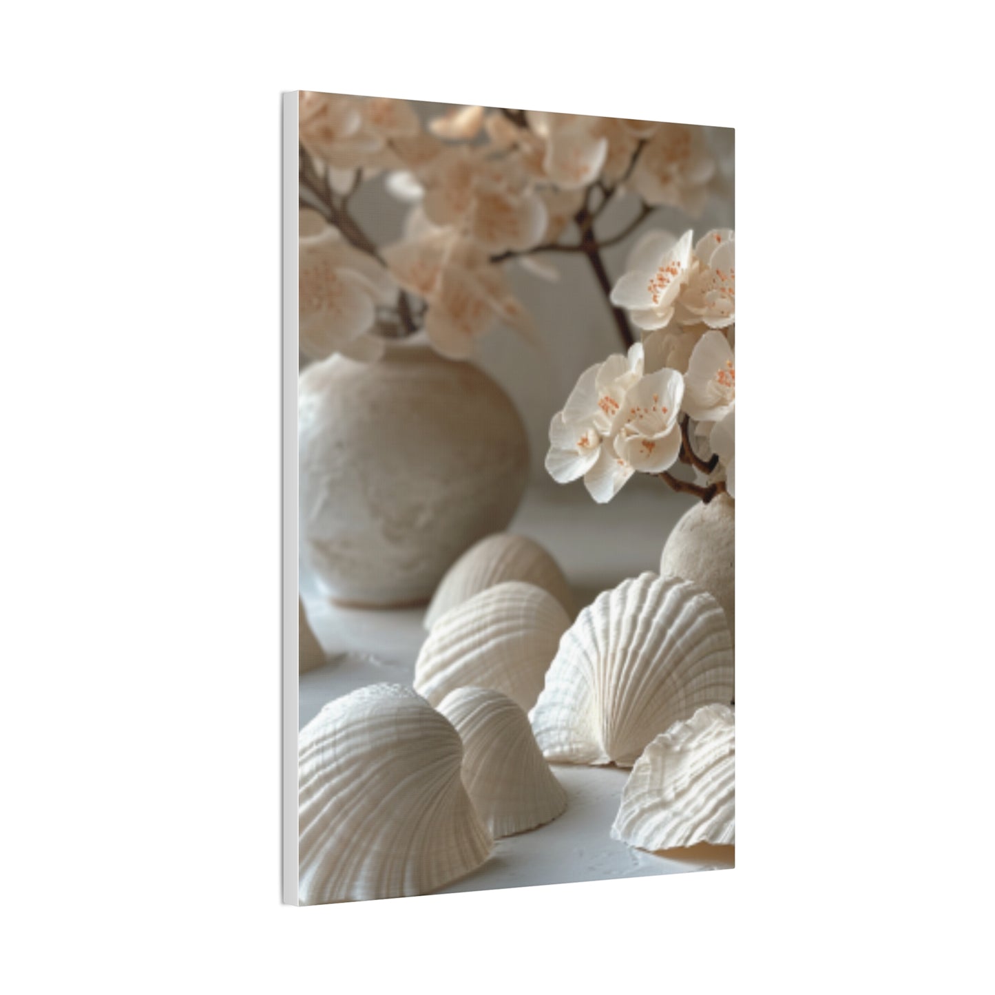 Seashell Serenity Canvas Print