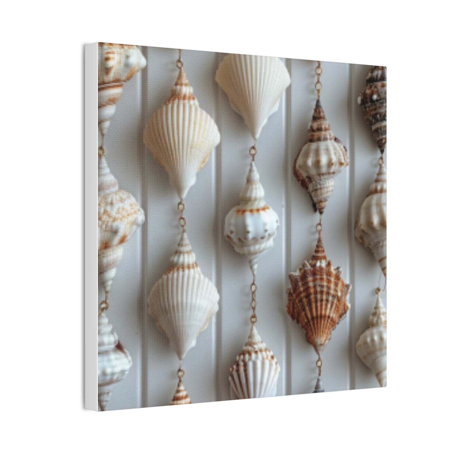 Seashell Serenity Canvas Print