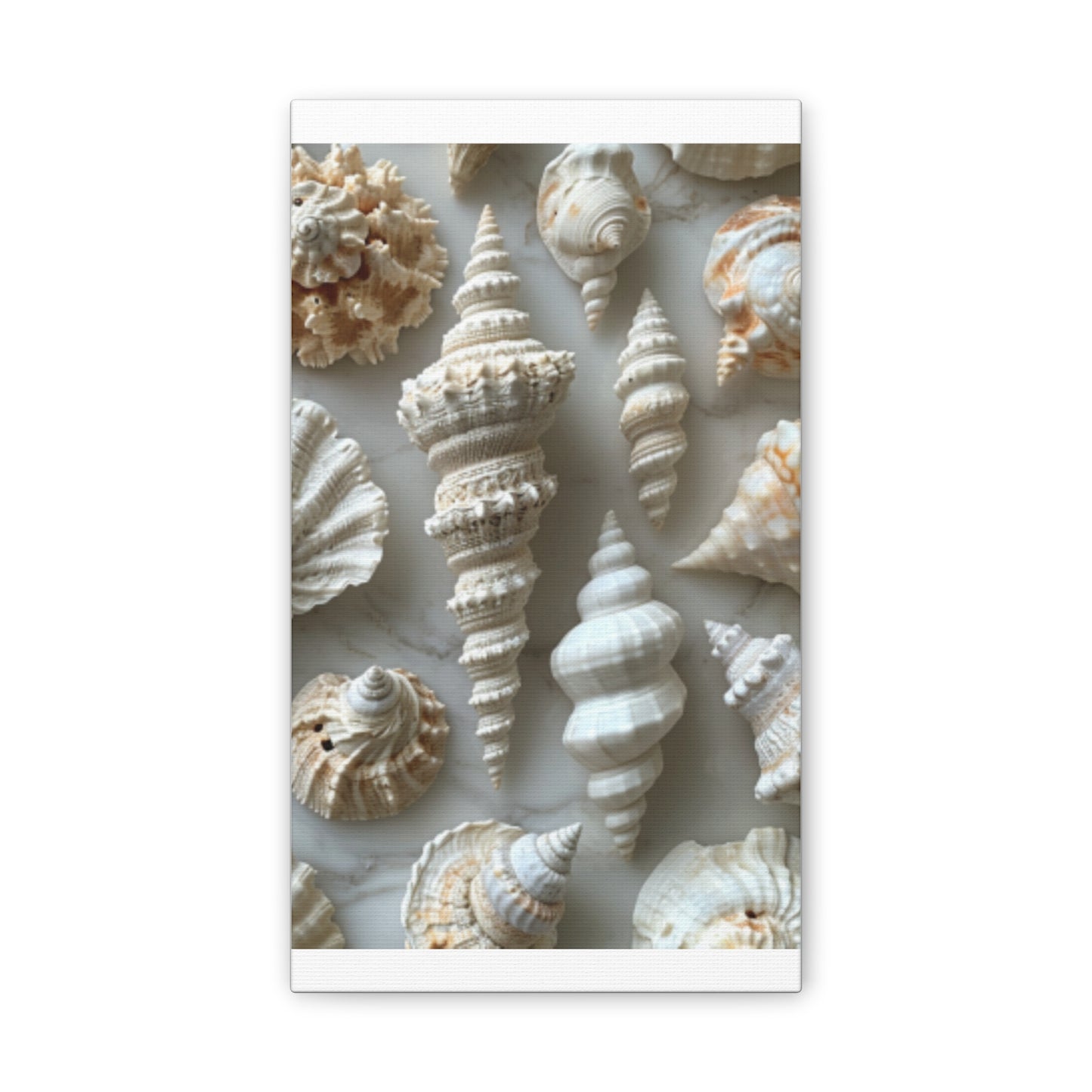 Seashell Serenity Canvas Print