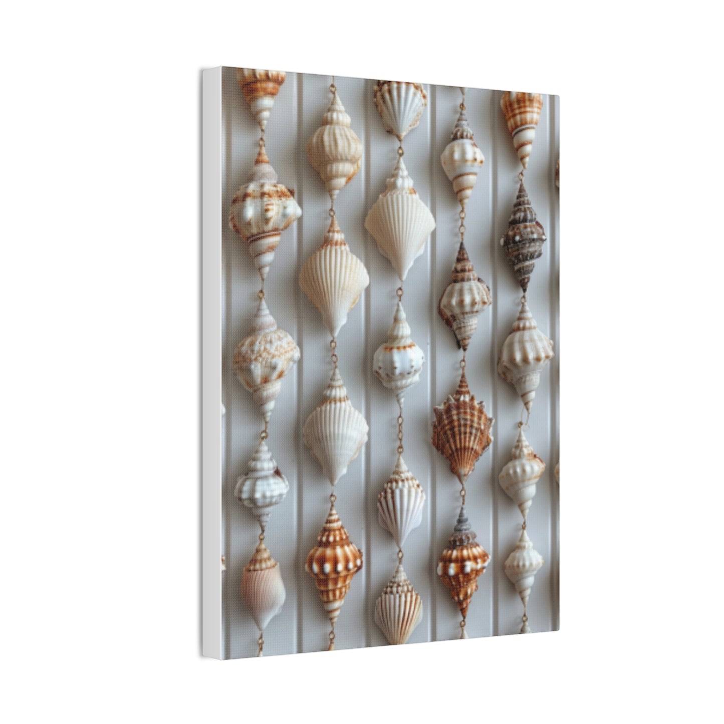 Seashell Serenity Canvas Print