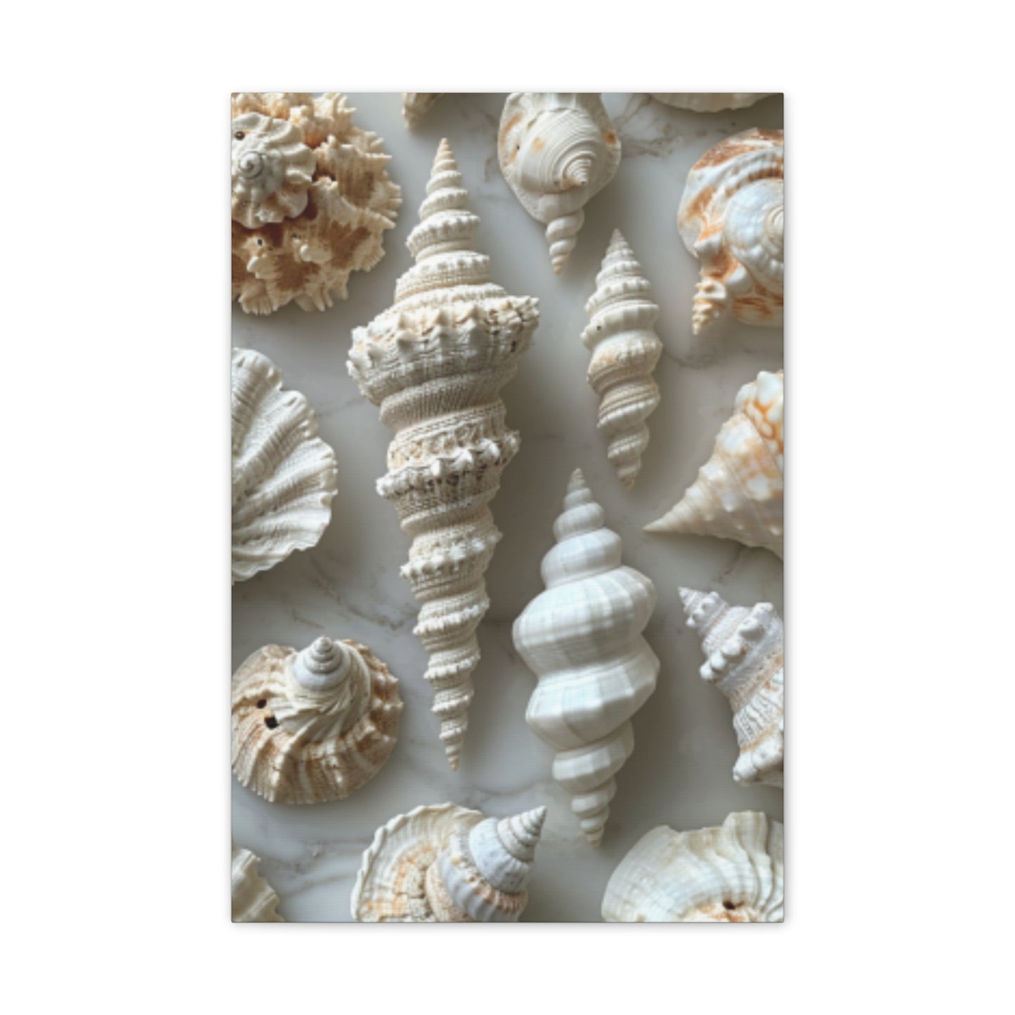 Seashell Serenity Canvas Print