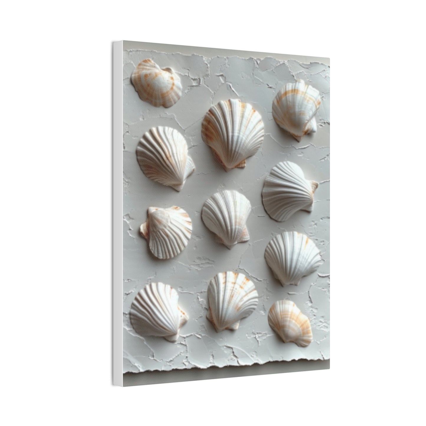 Seashell Serenity Canvas Print