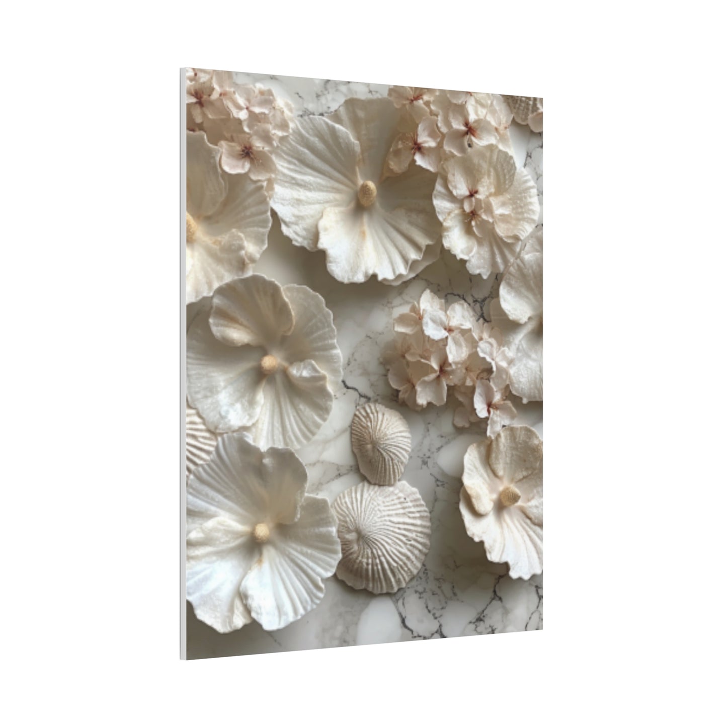 Seashell Serenity Canvas Print