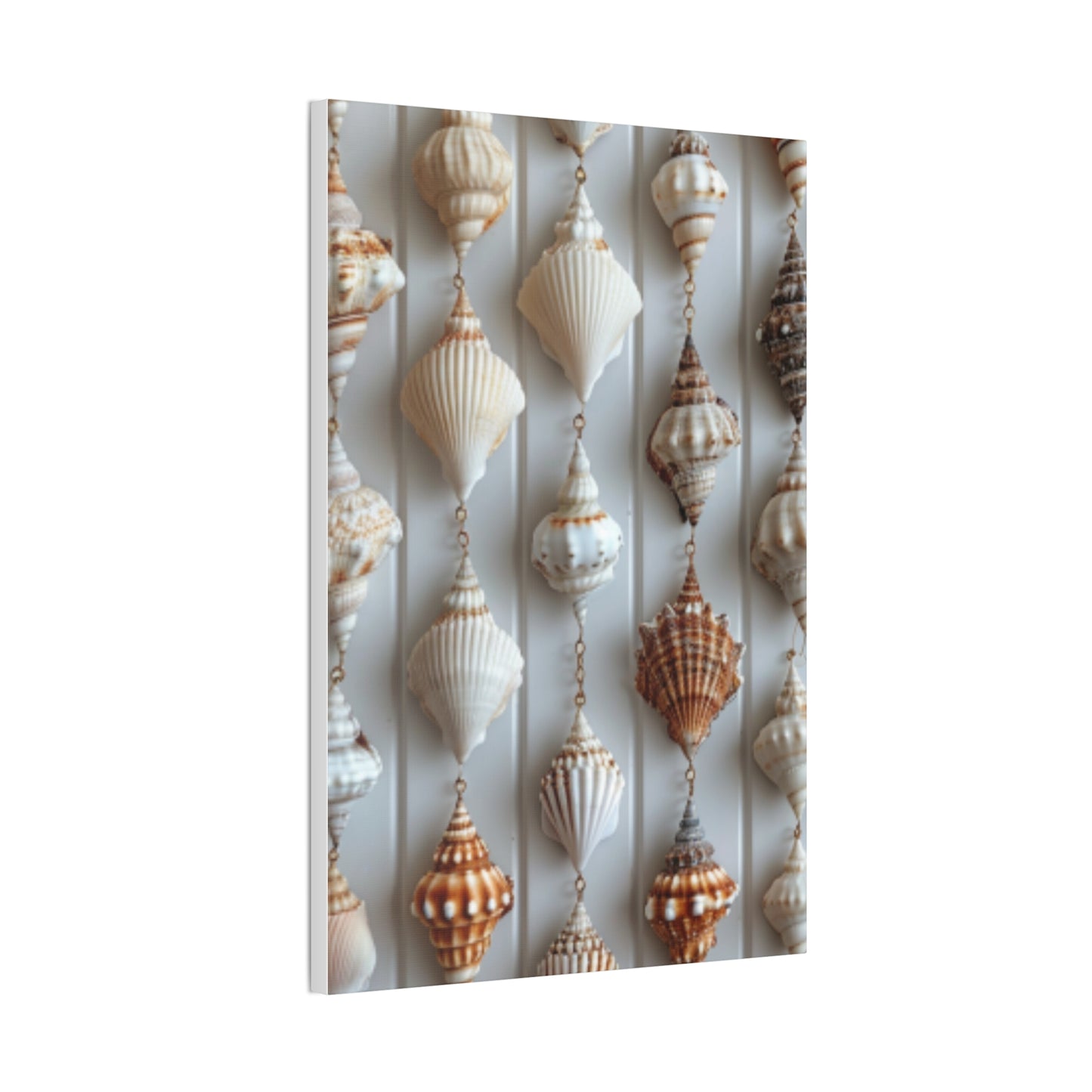 Seashell Serenity Canvas Print