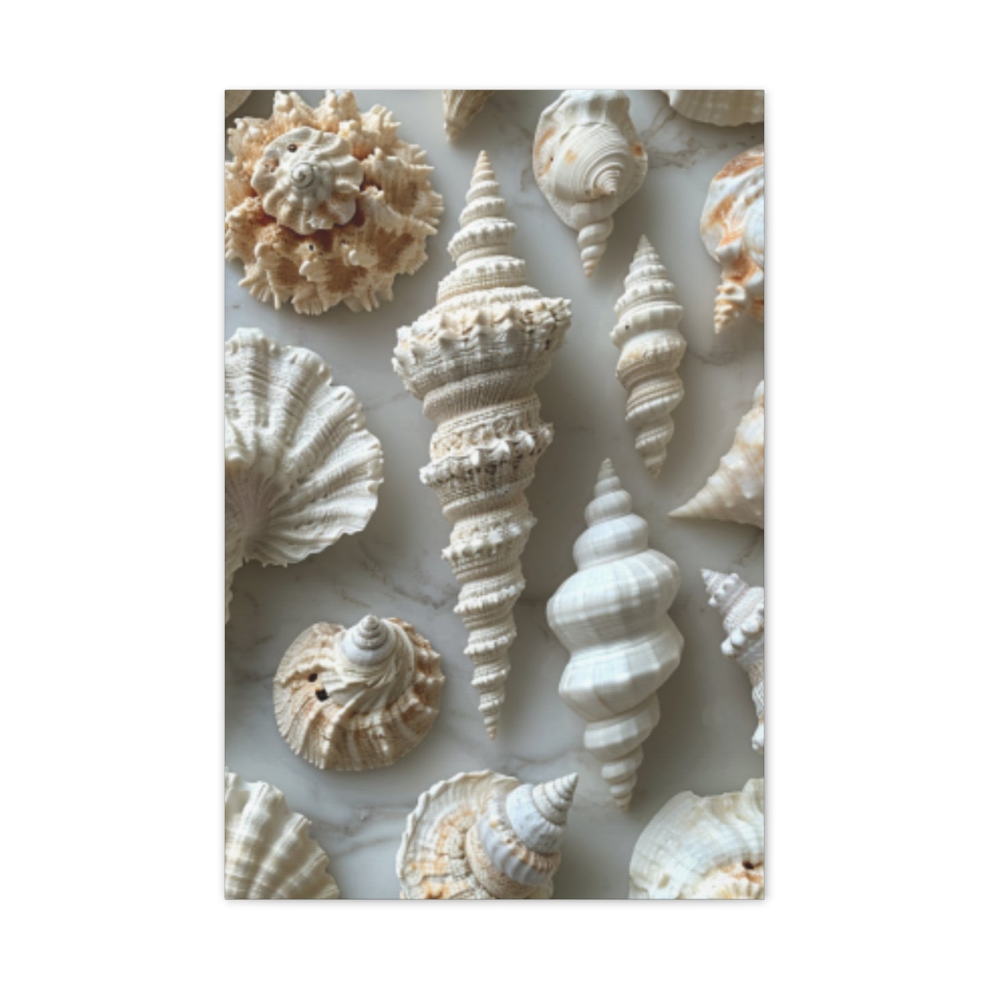 Seashell Serenity Canvas Print