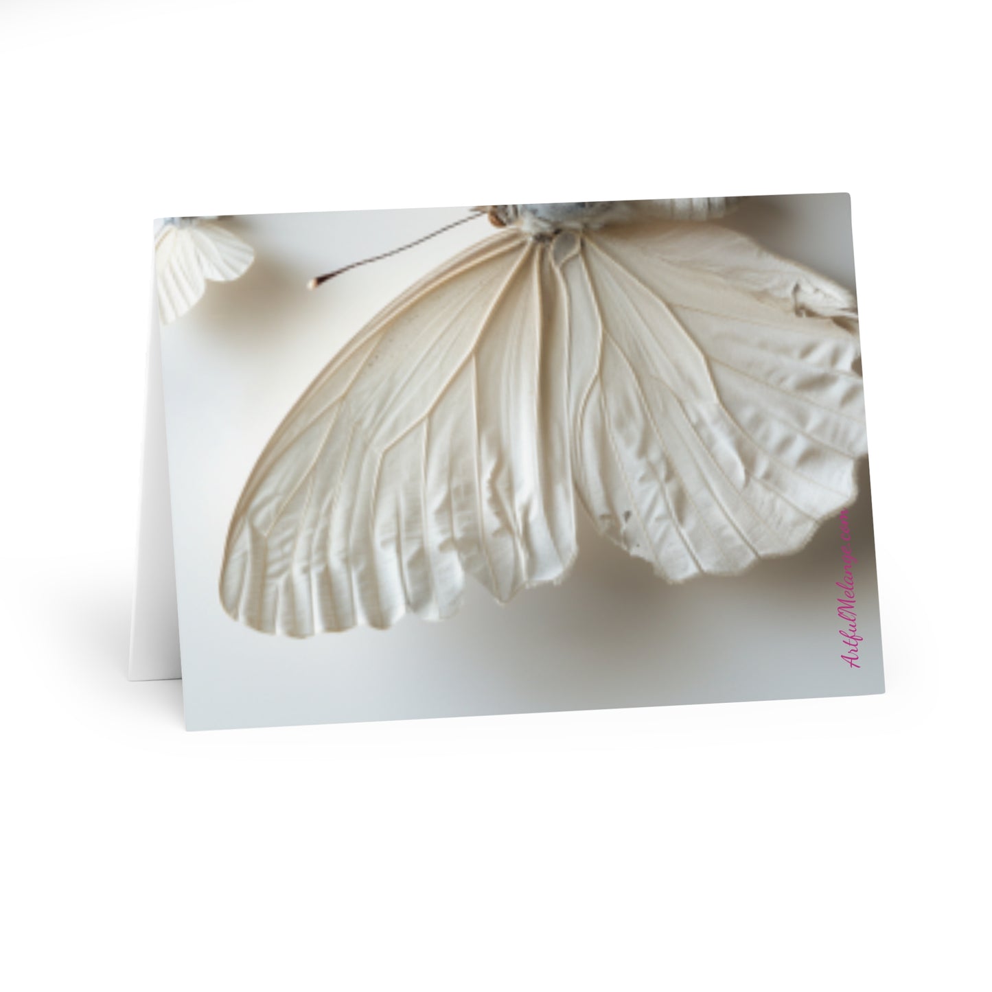 Wings of Wonder: Butterfly Note Card Collection (5 Pack)