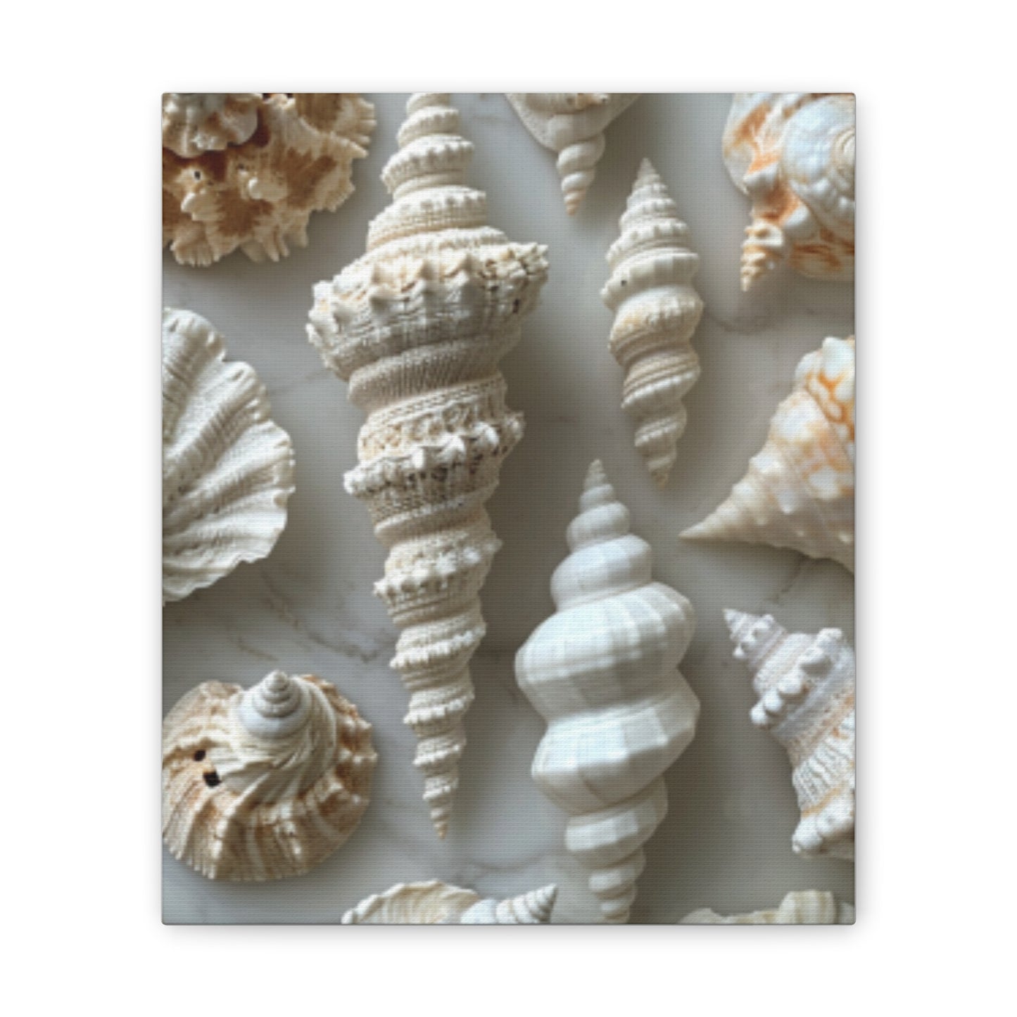 Seashell Serenity Canvas Print