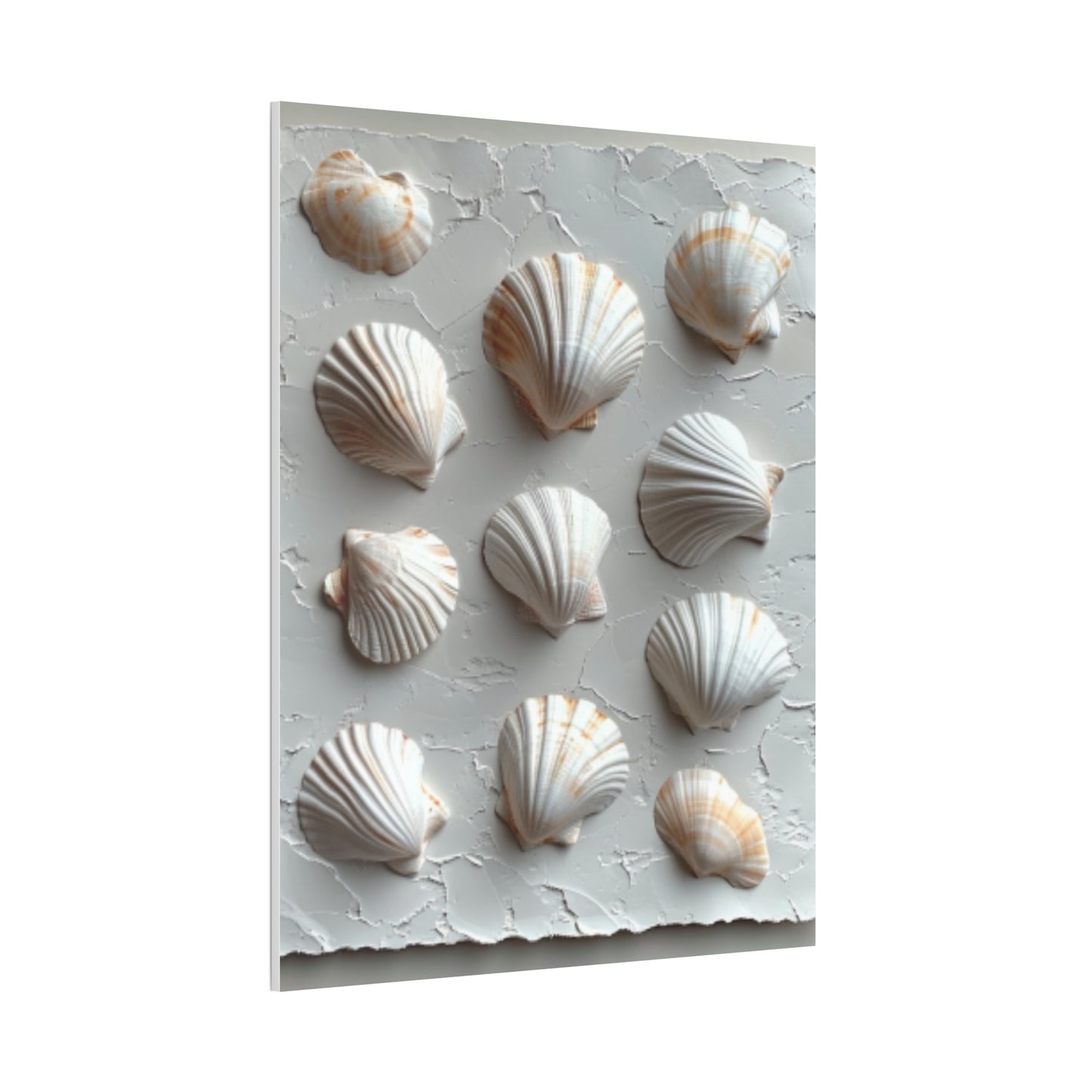 Seashell Serenity Canvas Print