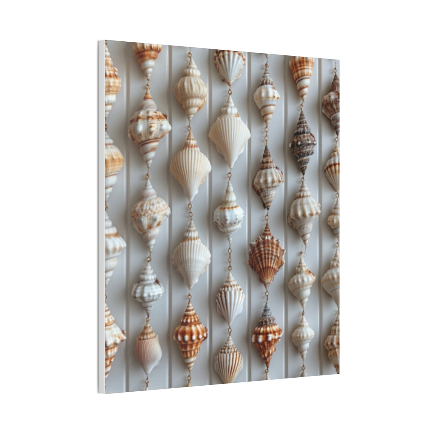 Seashell Serenity Canvas Print