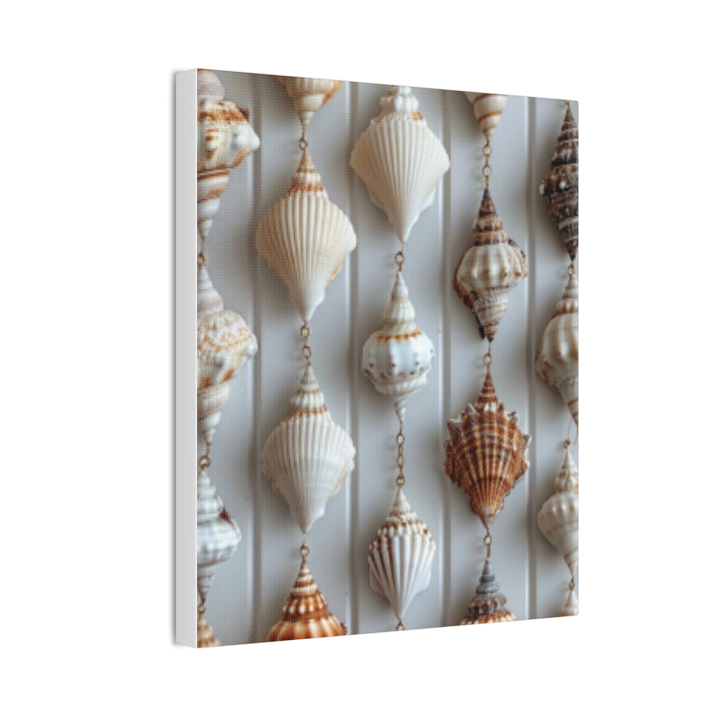 Seashell Serenity Canvas Print