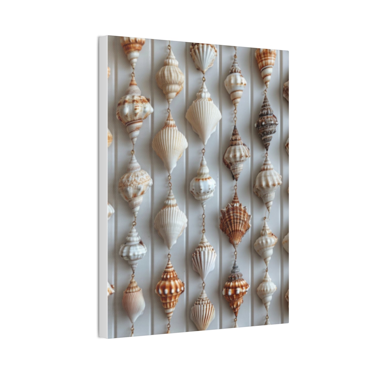 Seashell Serenity Canvas Print