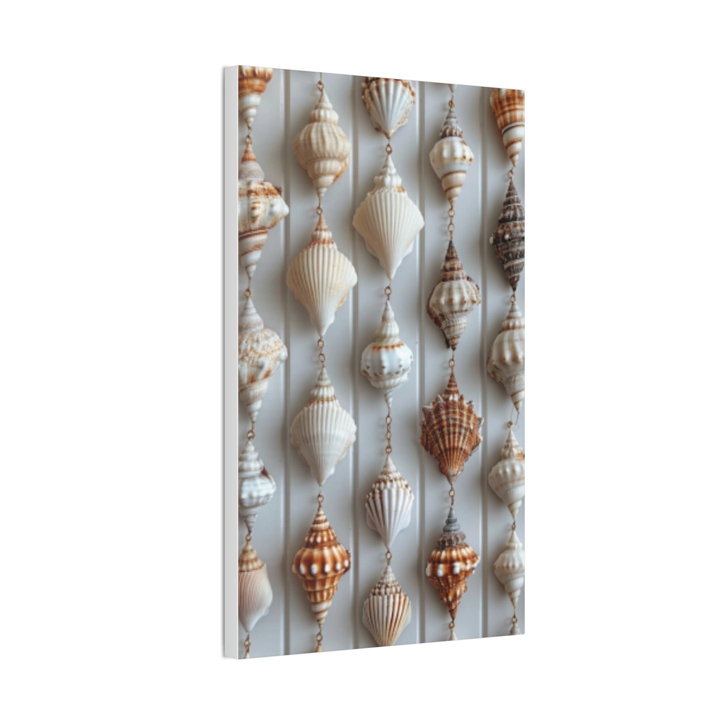 Seashell Serenity Canvas Print