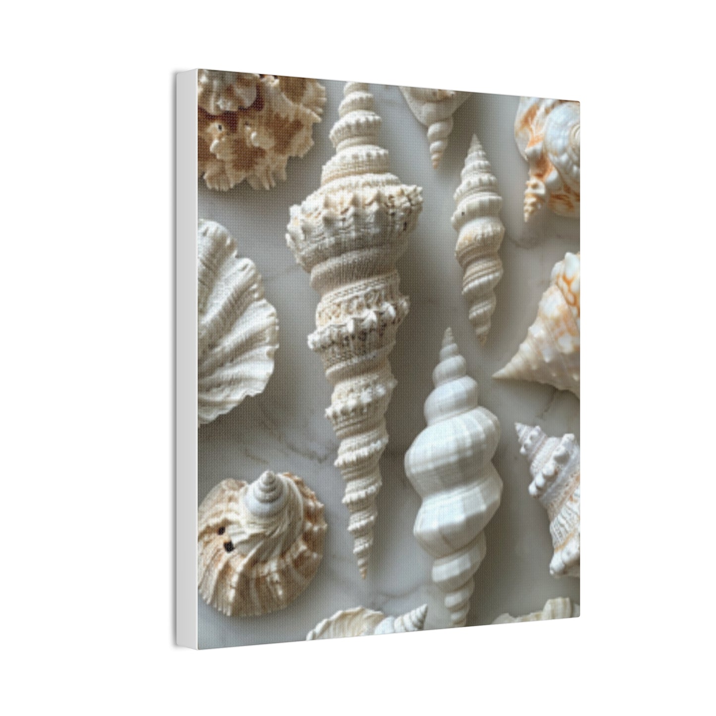 Seashell Serenity Canvas Print