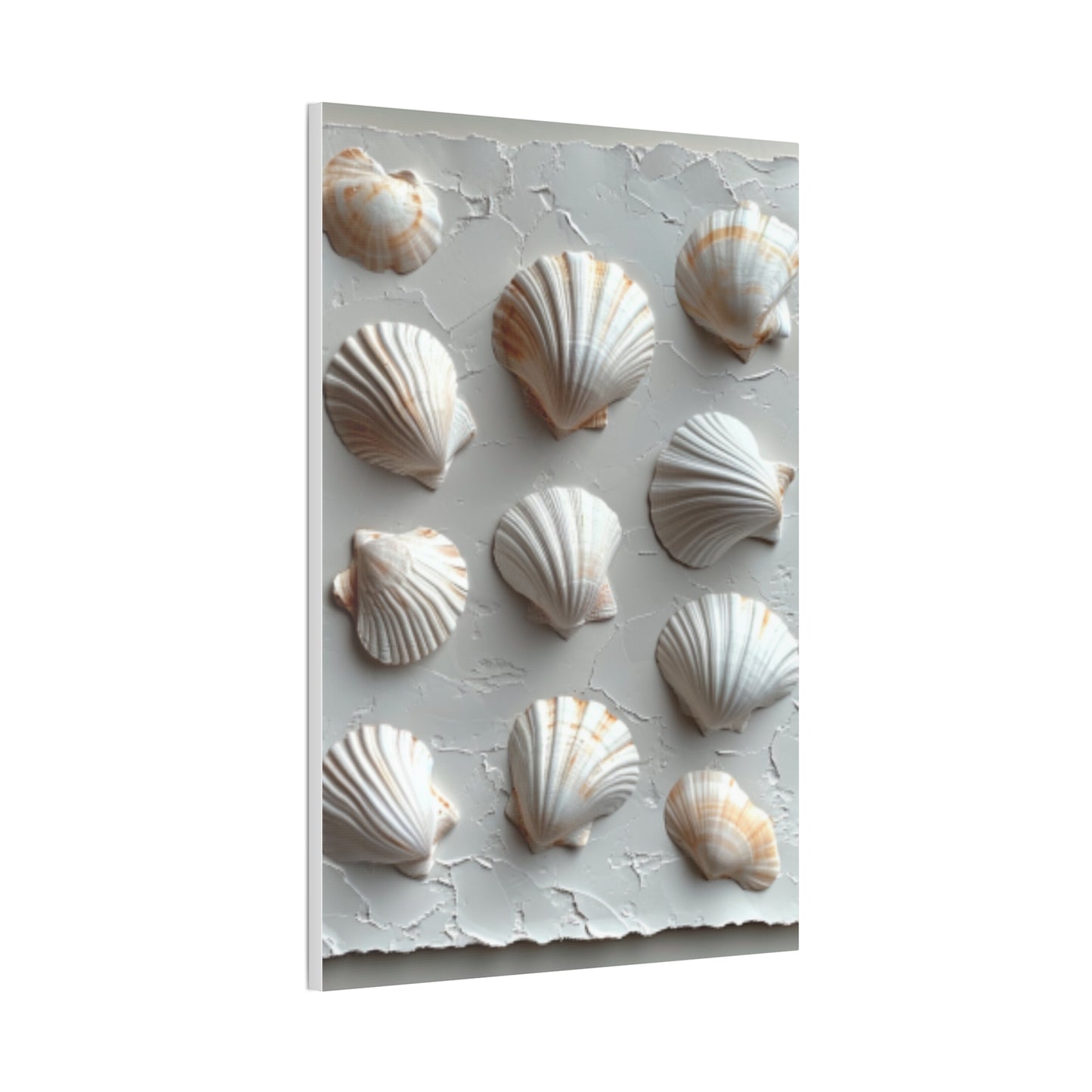 Seashell Serenity Canvas Print