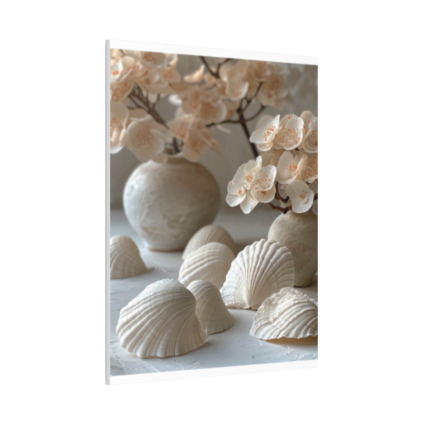 Seashell Serenity Canvas Print