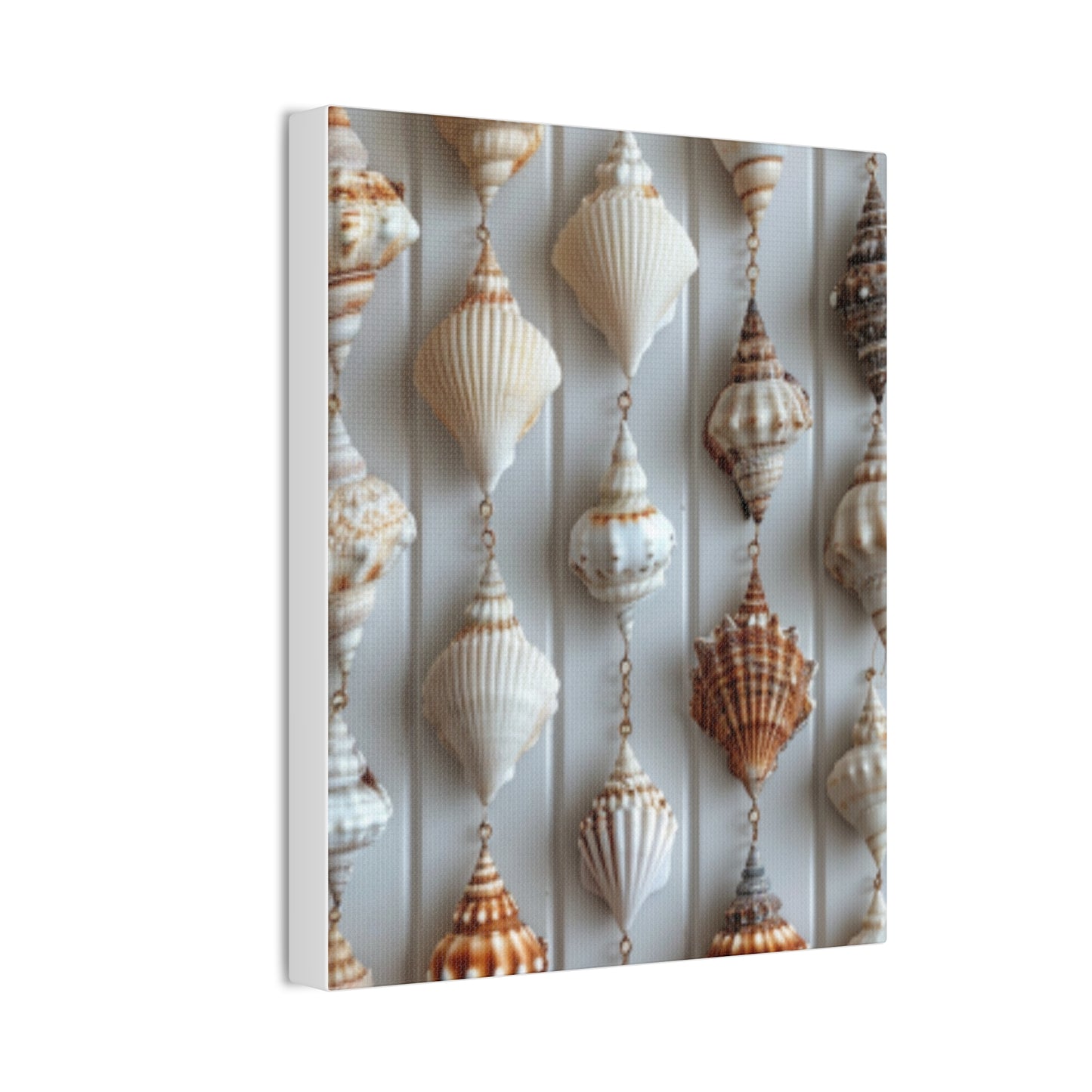 Seashell Serenity Canvas Print